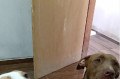 O trio parada dura adora uma bagun&ccedil;a. - ACERVO PESSOAL
