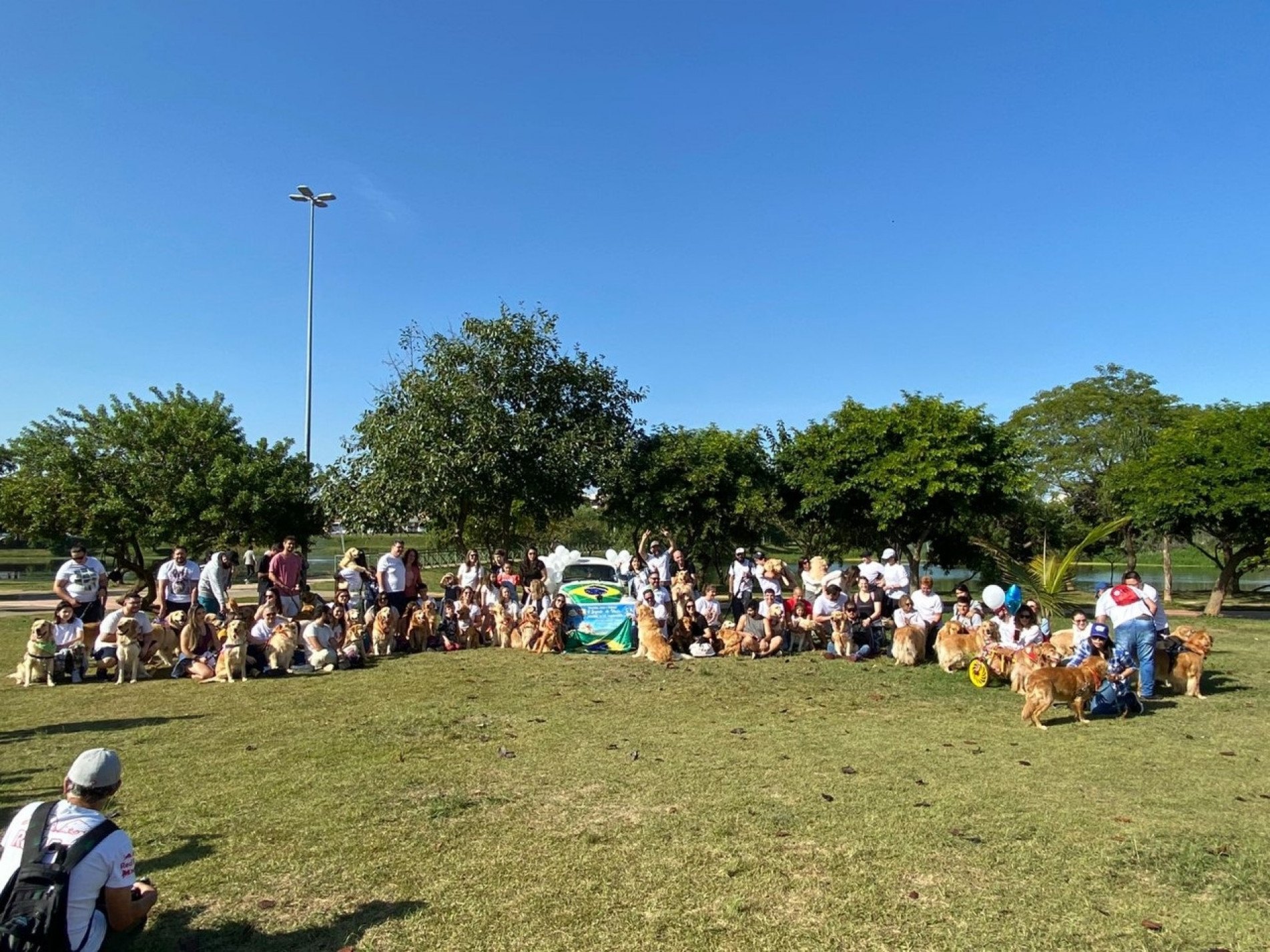 Donos de cães da raça golden retriever de Sorocaba e cidades da região fizeram uma homenagem a Jesse e o cão Shurastey.