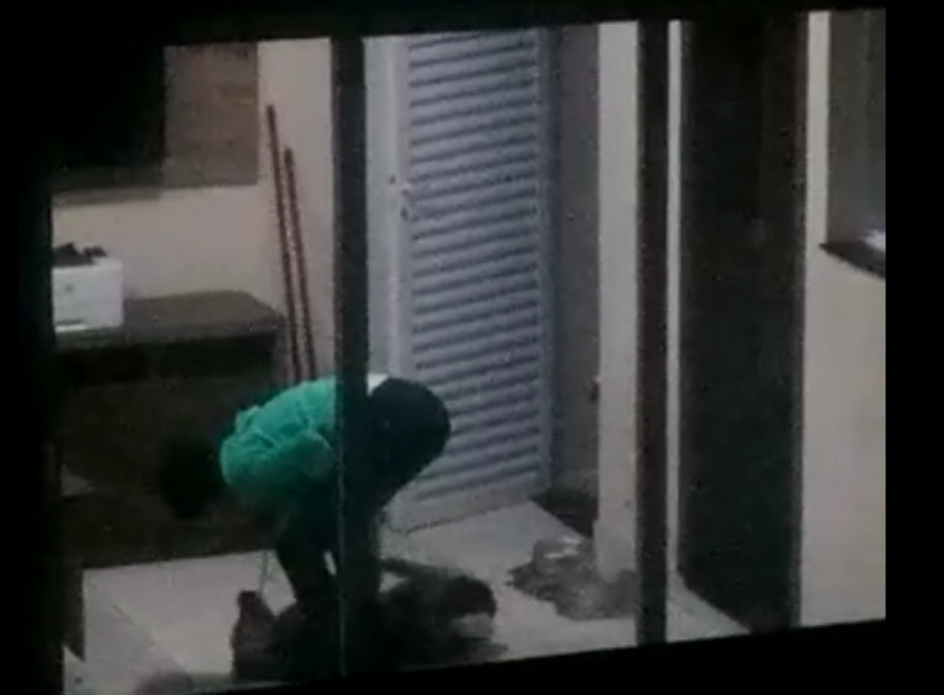 Mulher joga a cachorra no chão e a agride com chutes 
