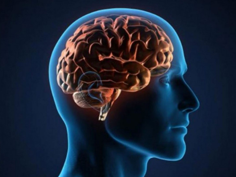 Learn how to keep your brain moving