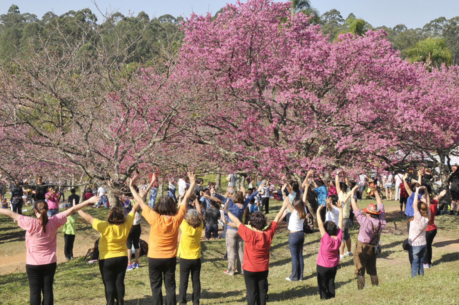 Demonstração de Kenko Taissô em 2019