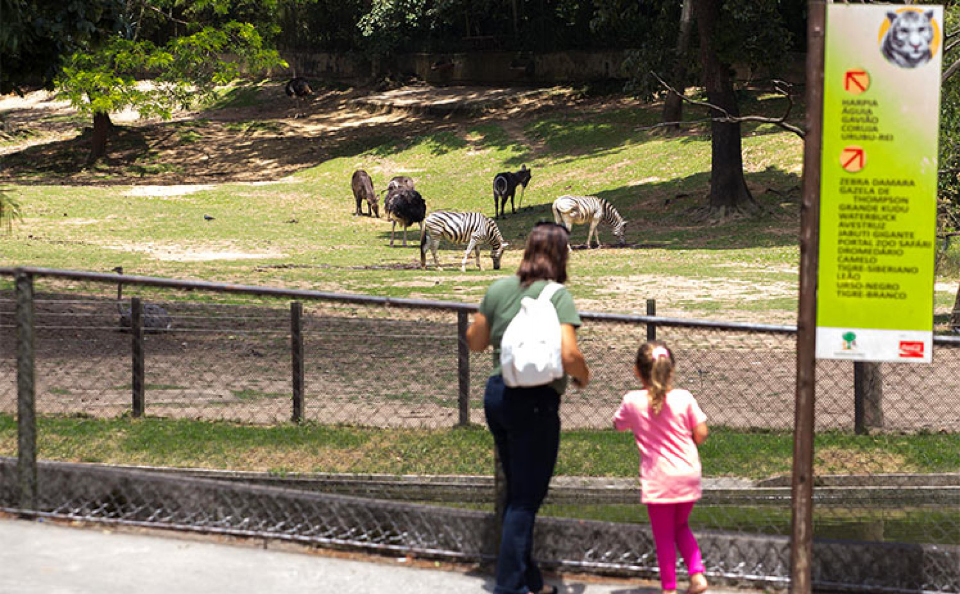 O Zoológico de São Paulo abrirá para visitação noturna nas férias de julho 