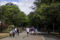 Parque Ibirapuera - Divulgação/ Ibirapuera