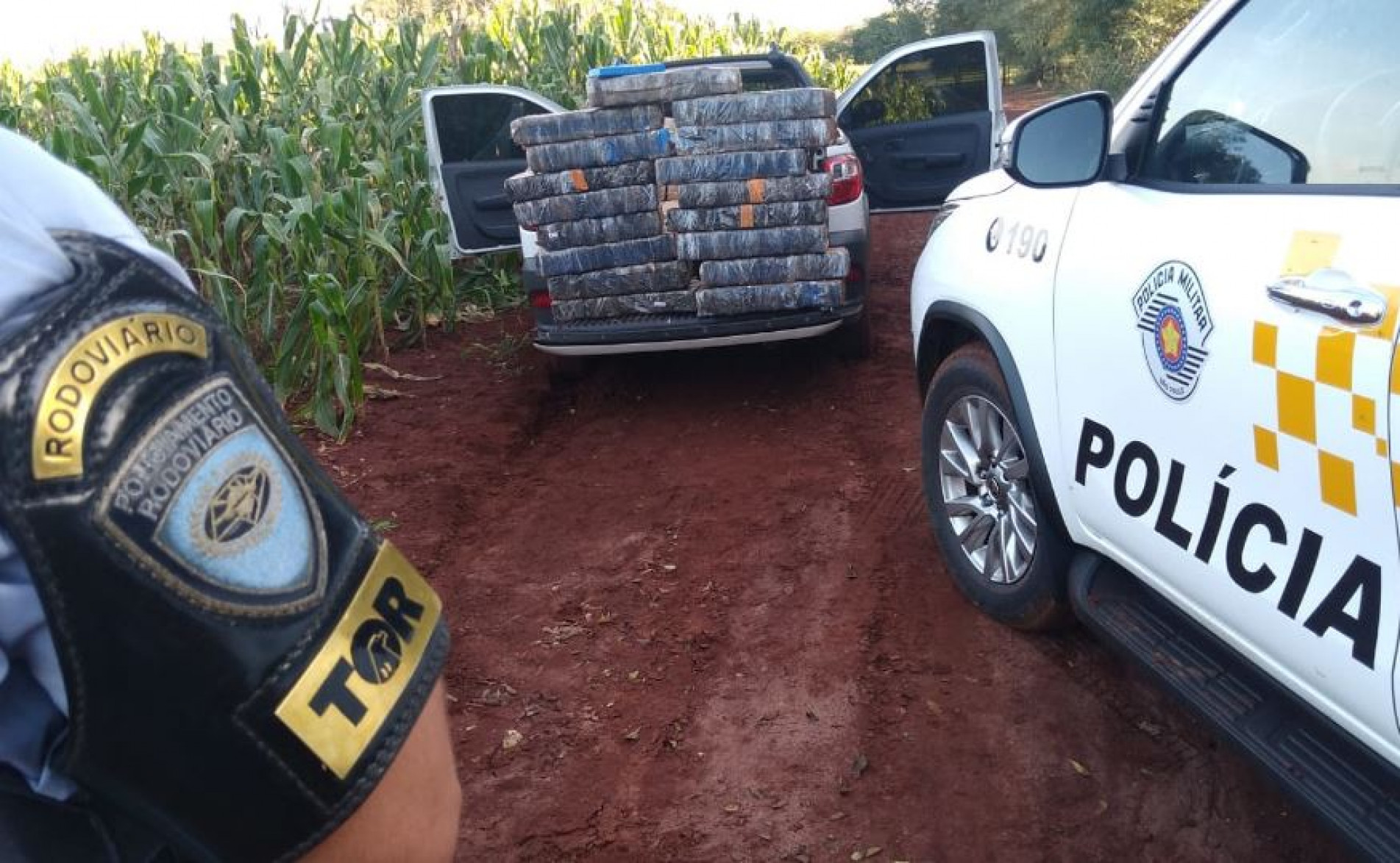 Na carroceira do veículo, os policiais encontraram 323 tabletes de maconha