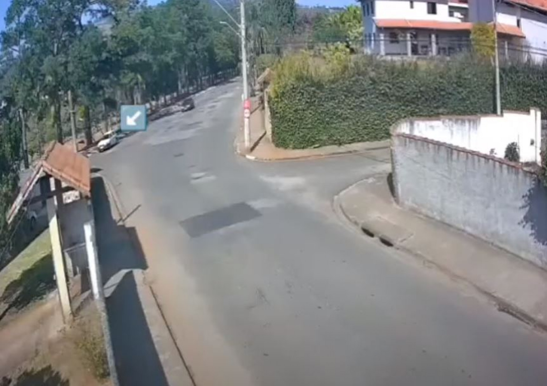 Vídeo mostra momento em que cachorro é abandonado em rua de São Roque 