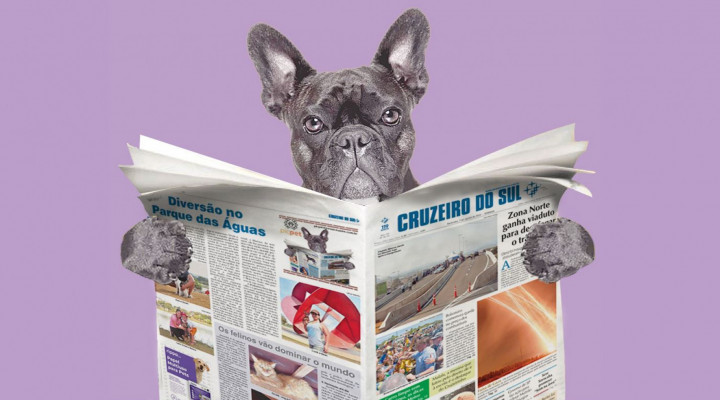 Olá meu nome é Trovão