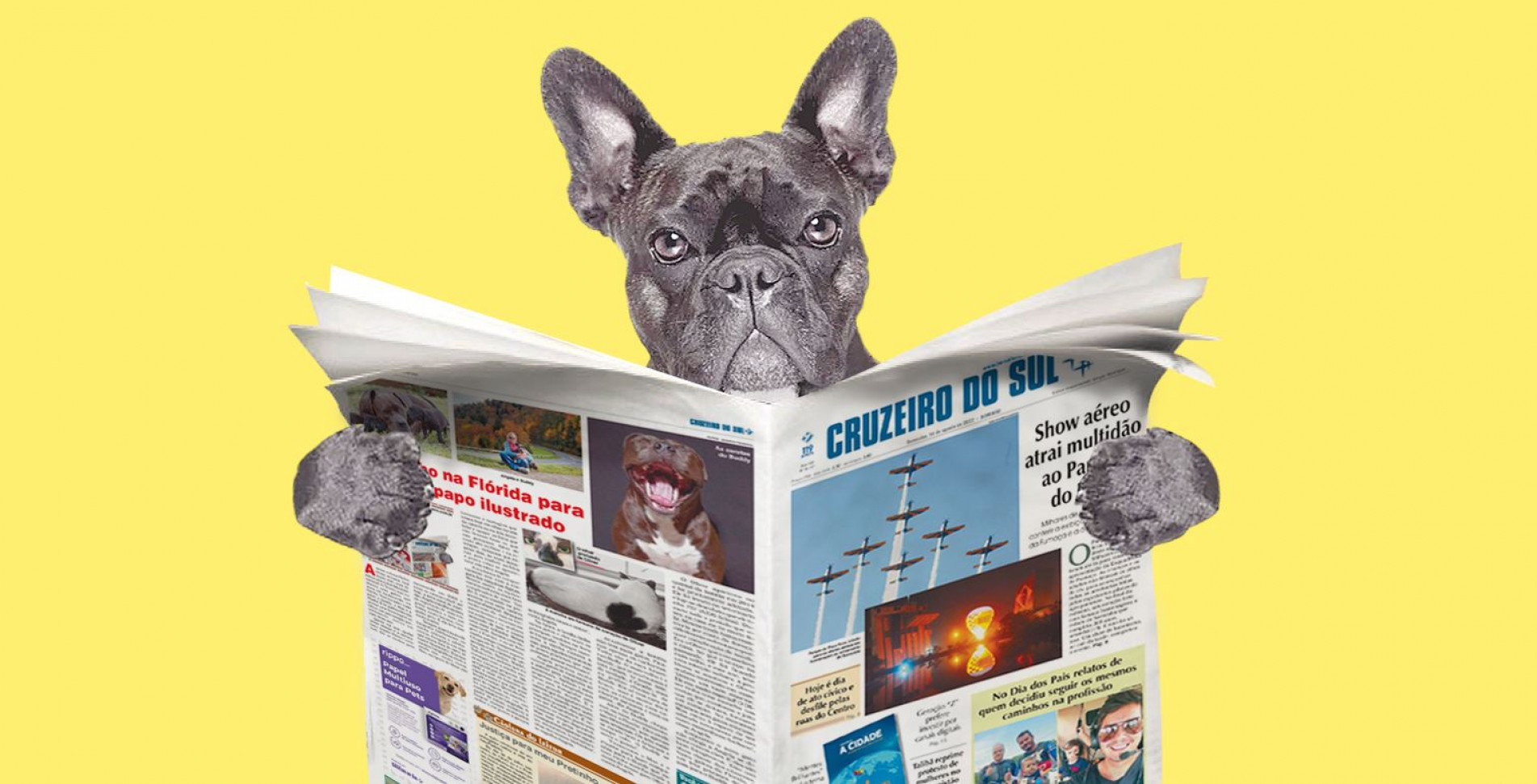 Olá meu nome é Trovão