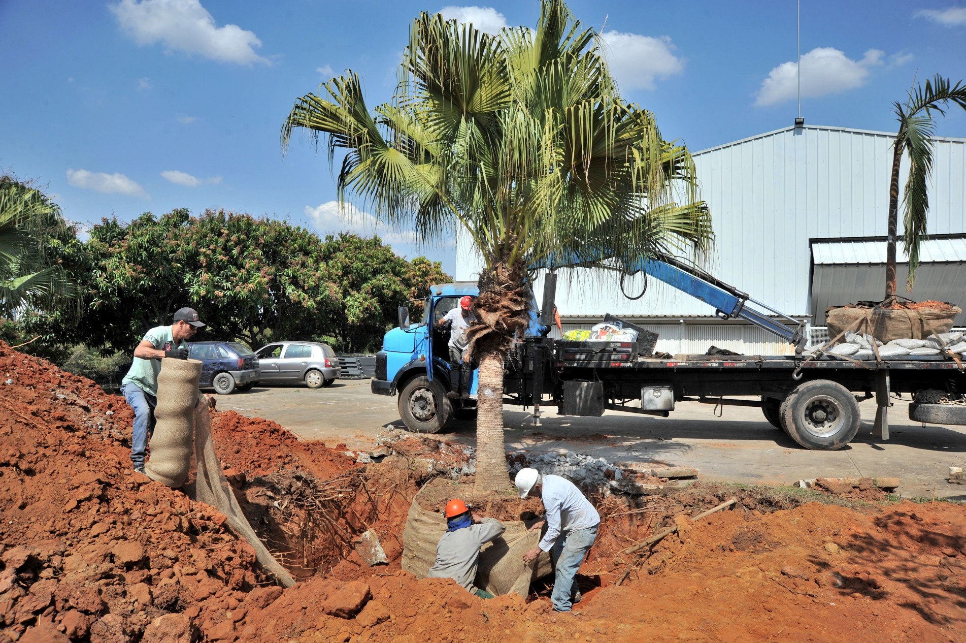 Árvores precisaram ser removidas para construção de quadra poliesportiva da unidade 2 Colégio Politécnico
