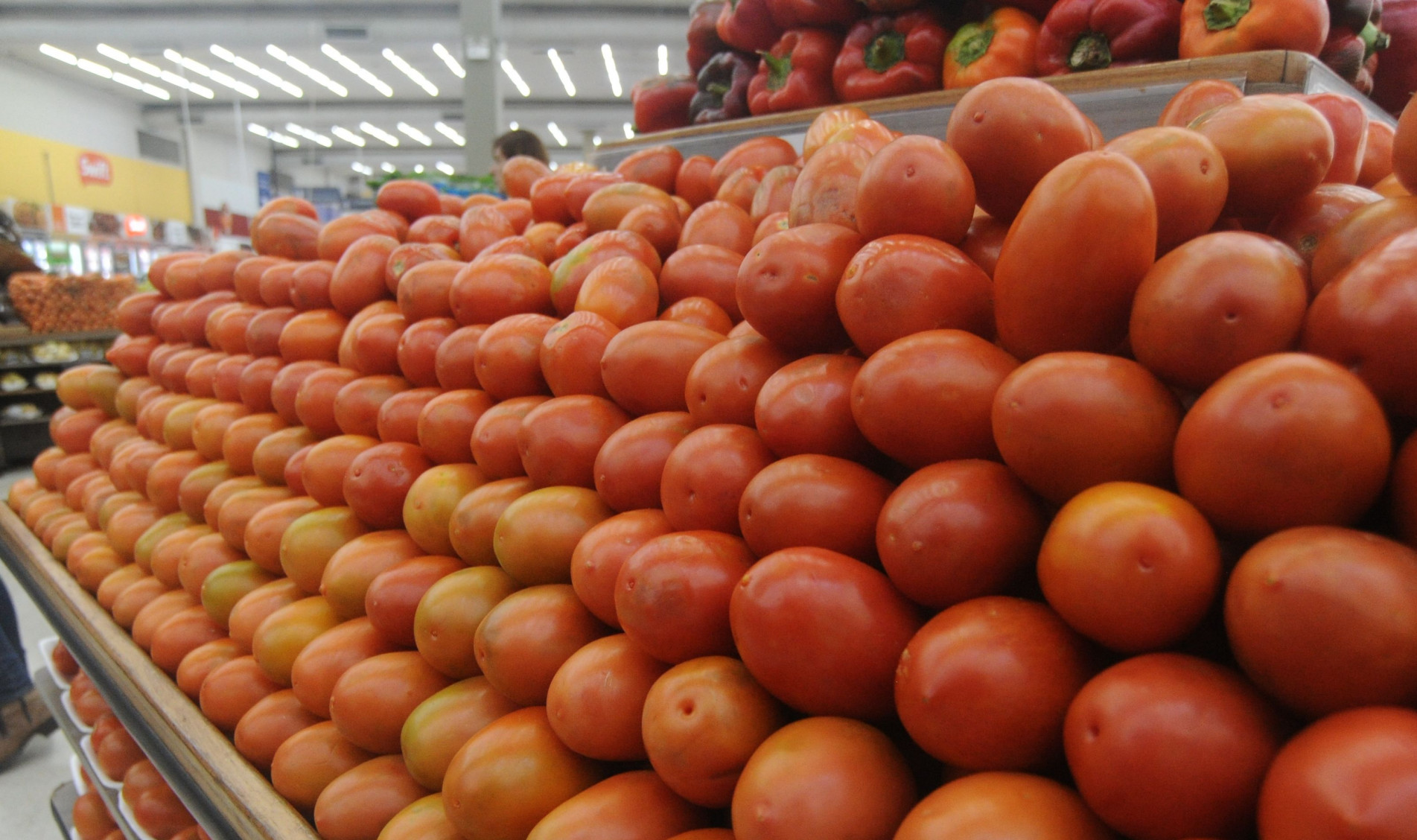 Redução de quase 10% no preço do extrato de tomate foi puxada pela redução do principal insumo do produto