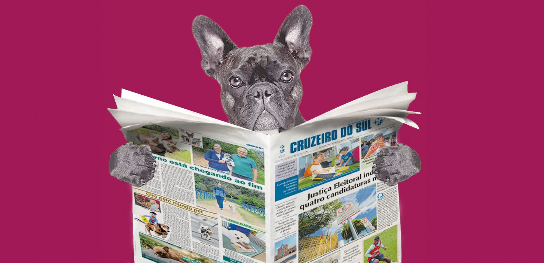 Olá meu nome é Trovão