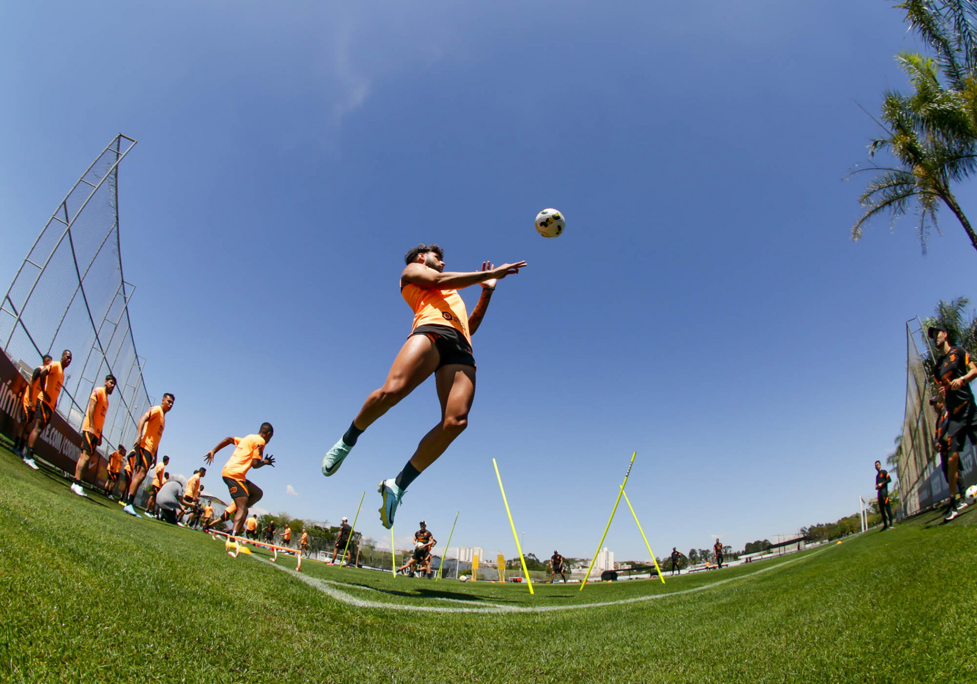 Yuri Alberto: adaptado ao Timão e ao DNA do clube