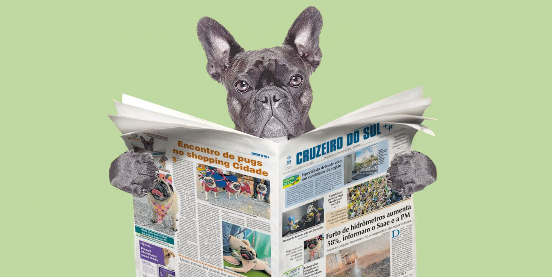 Olá meu nome é Trovão