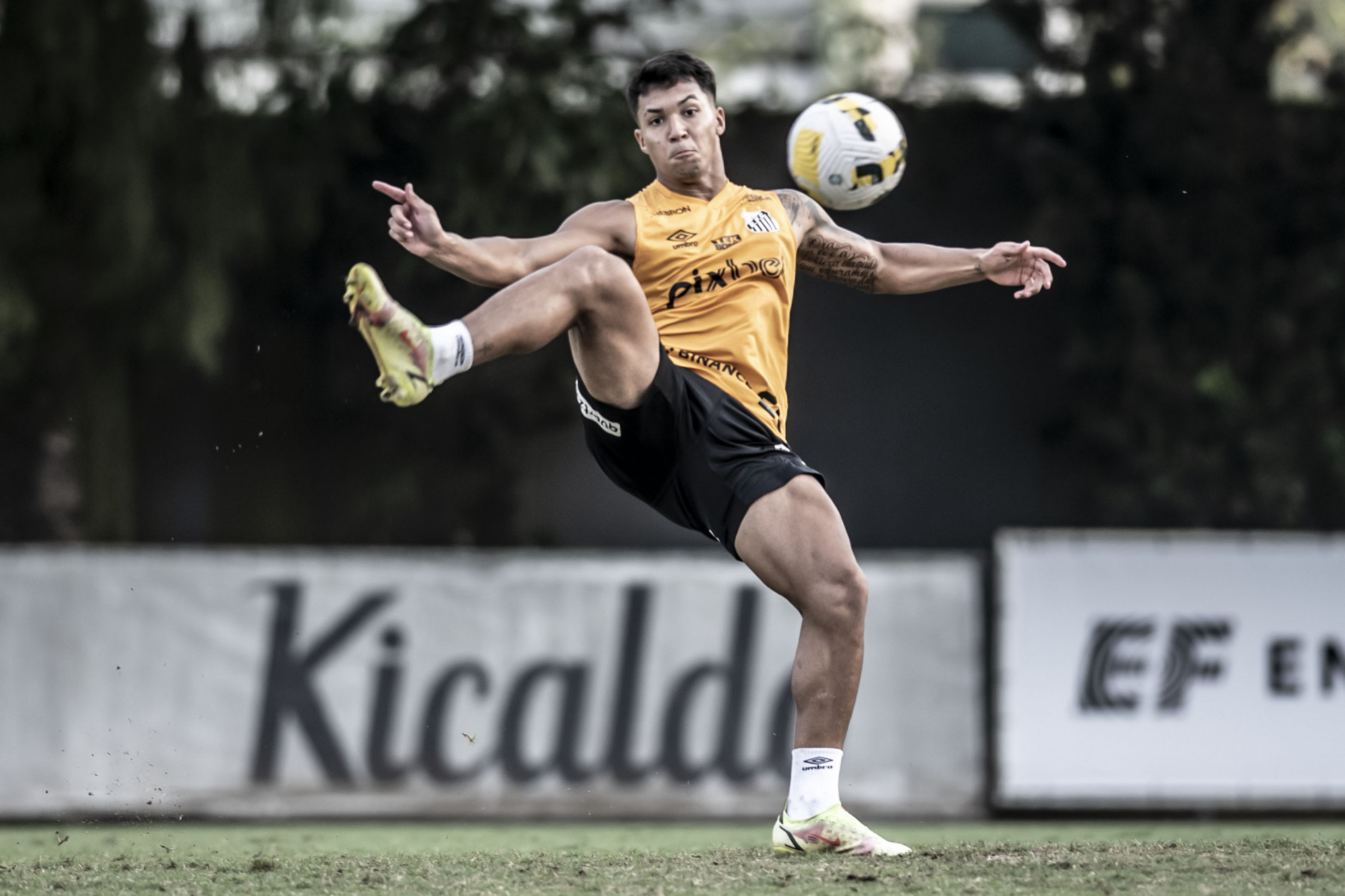 Ataque do Peixe tem Marcos Leonardo (foto), Ângelo e Soteldo