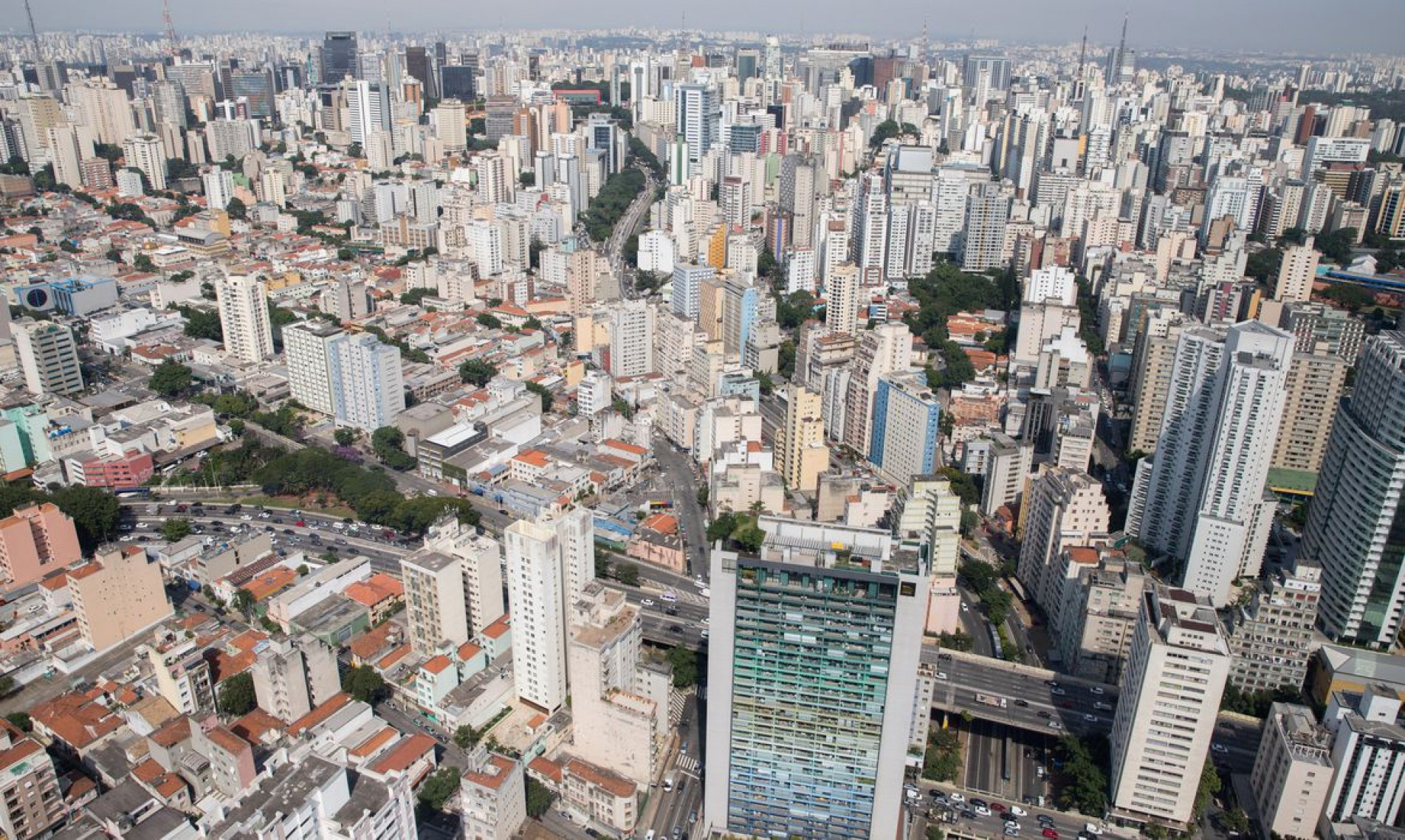 Imagens da Cidade de São Paulo  e Zoológico da Capital Paulista. Local: São Paulo/SP. Data: 27/03/2019. Foto: Governo do Estado de São Paulo