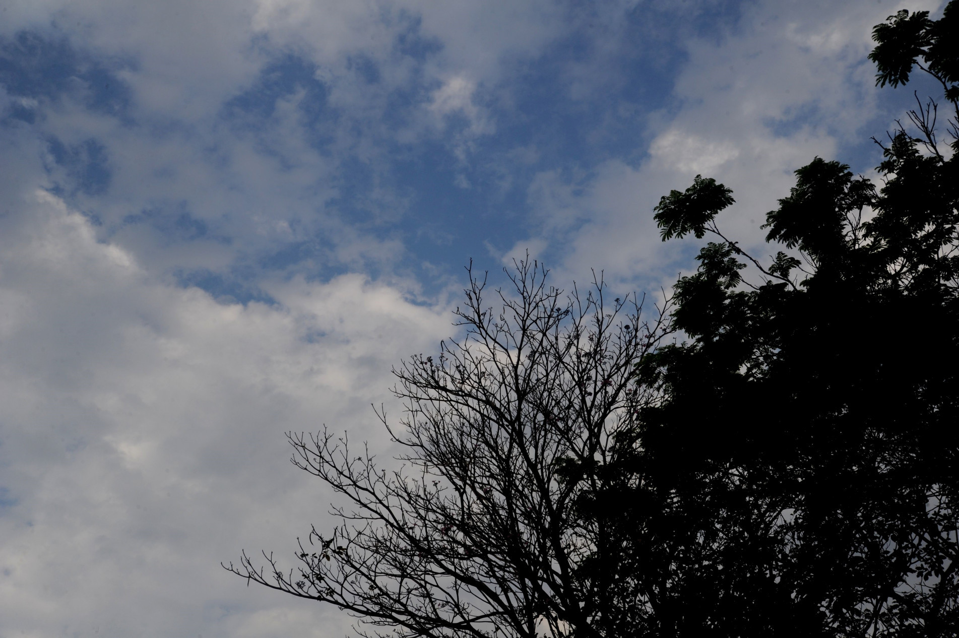 Sol volta a aparecer somente na próxima quinta-feira (11)