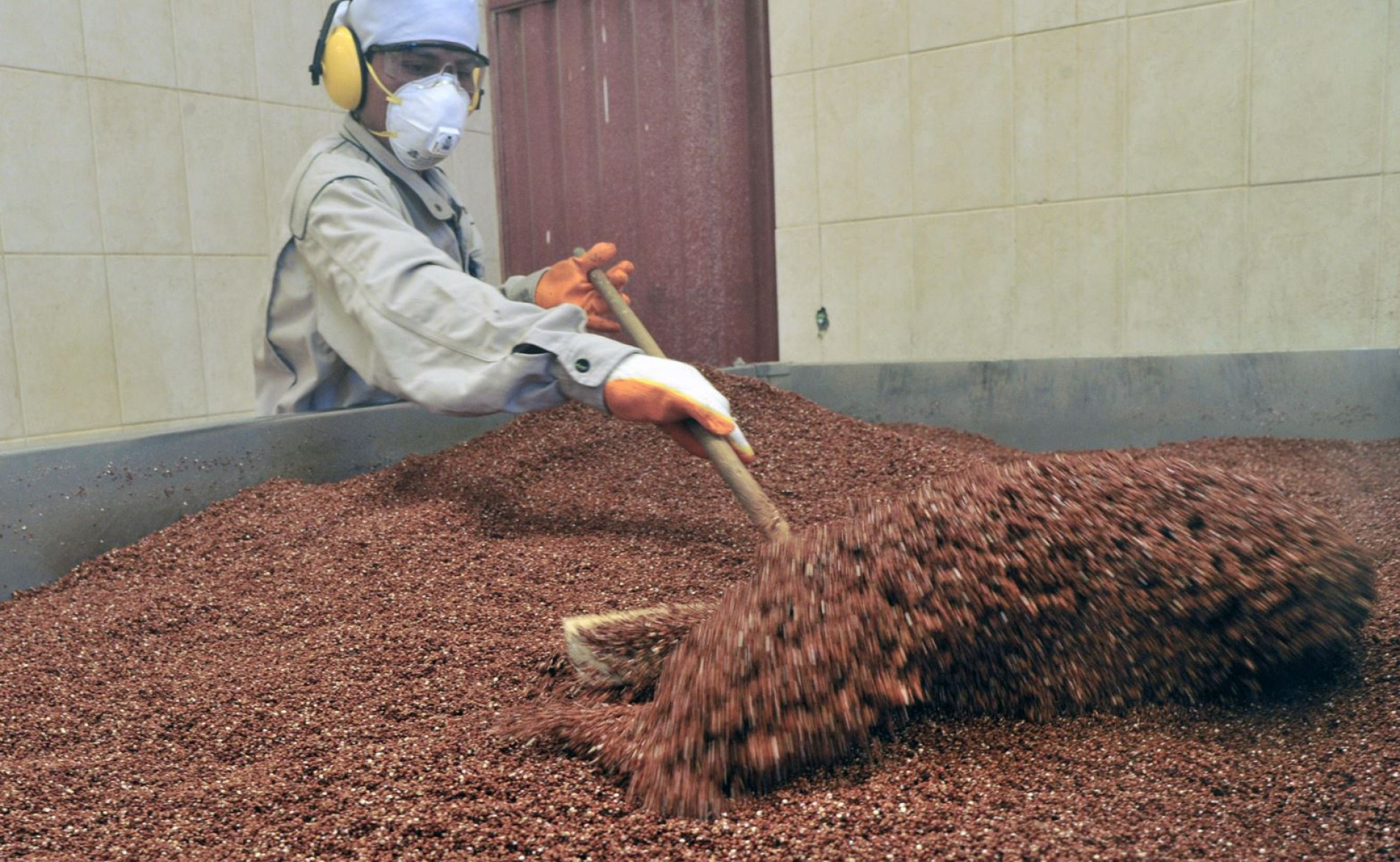 Preços internacionais dos grãos subiram 0,4% em setembro