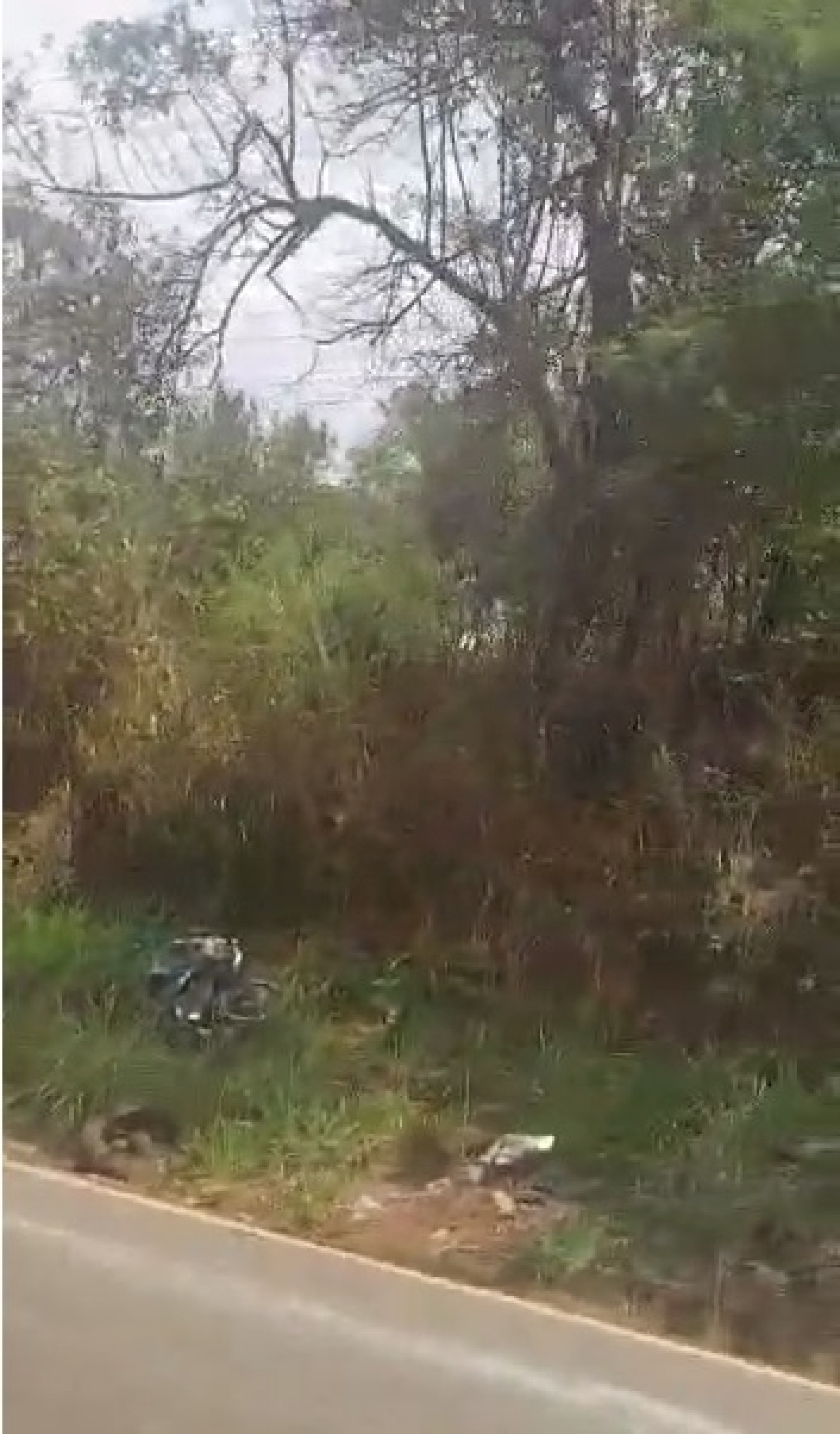 Motociclista morre em acidente na estrada Sorocaba - Iperó