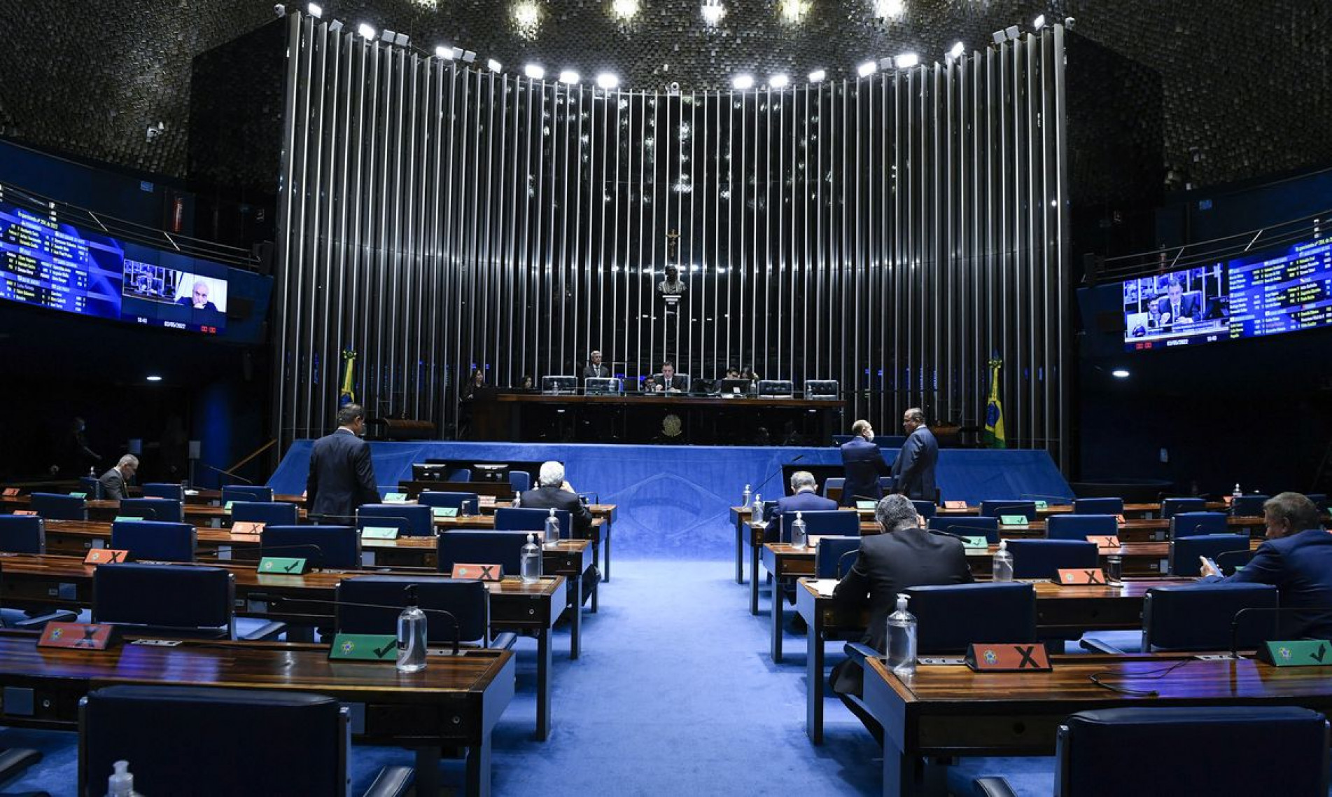 Plen&aacute;rio do Senado Federal 