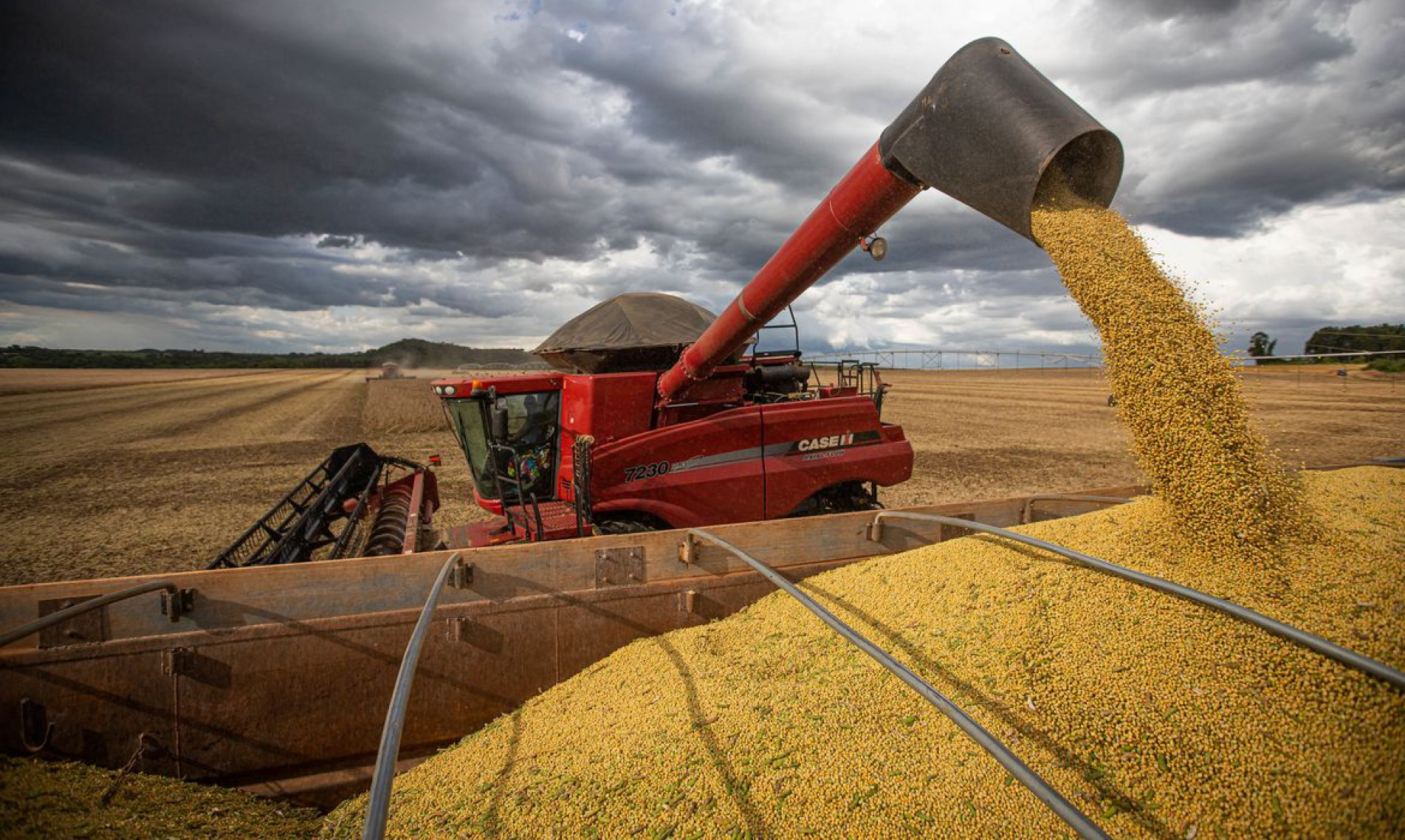 Juros para grandes produtores vão variar de 8% a 12,5%
