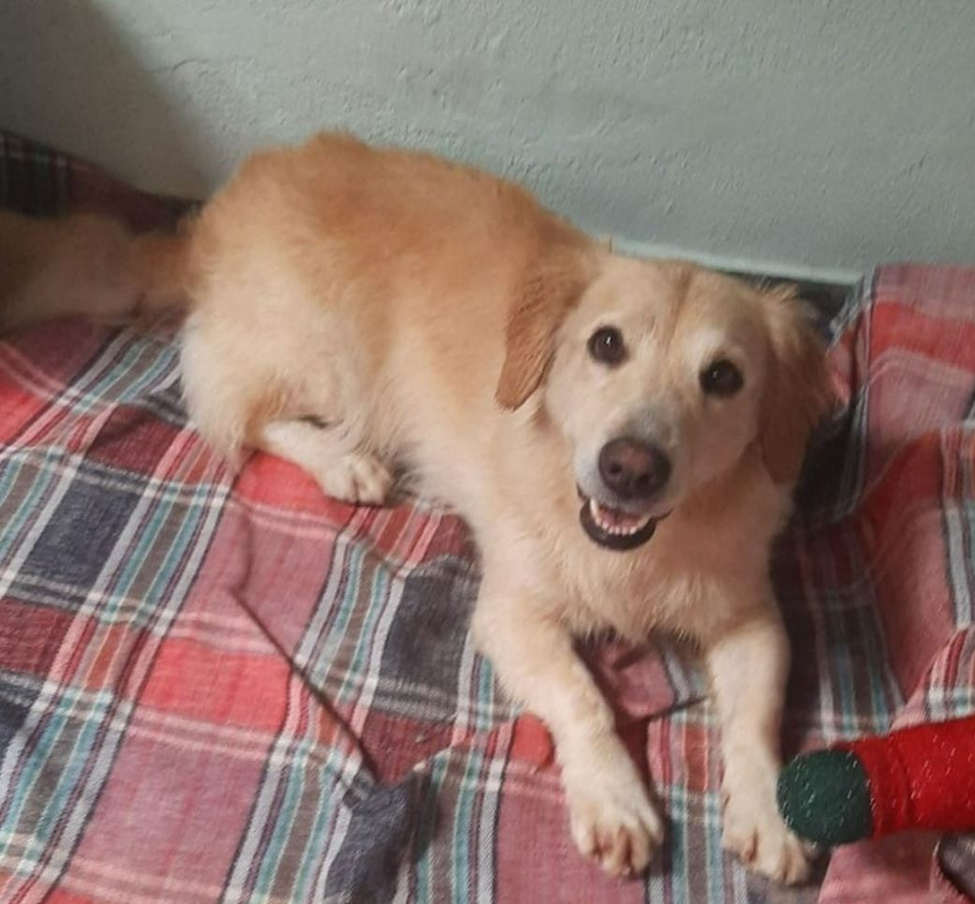 Lupita desapareceu há 15 dias na região do Julio de Mesquita