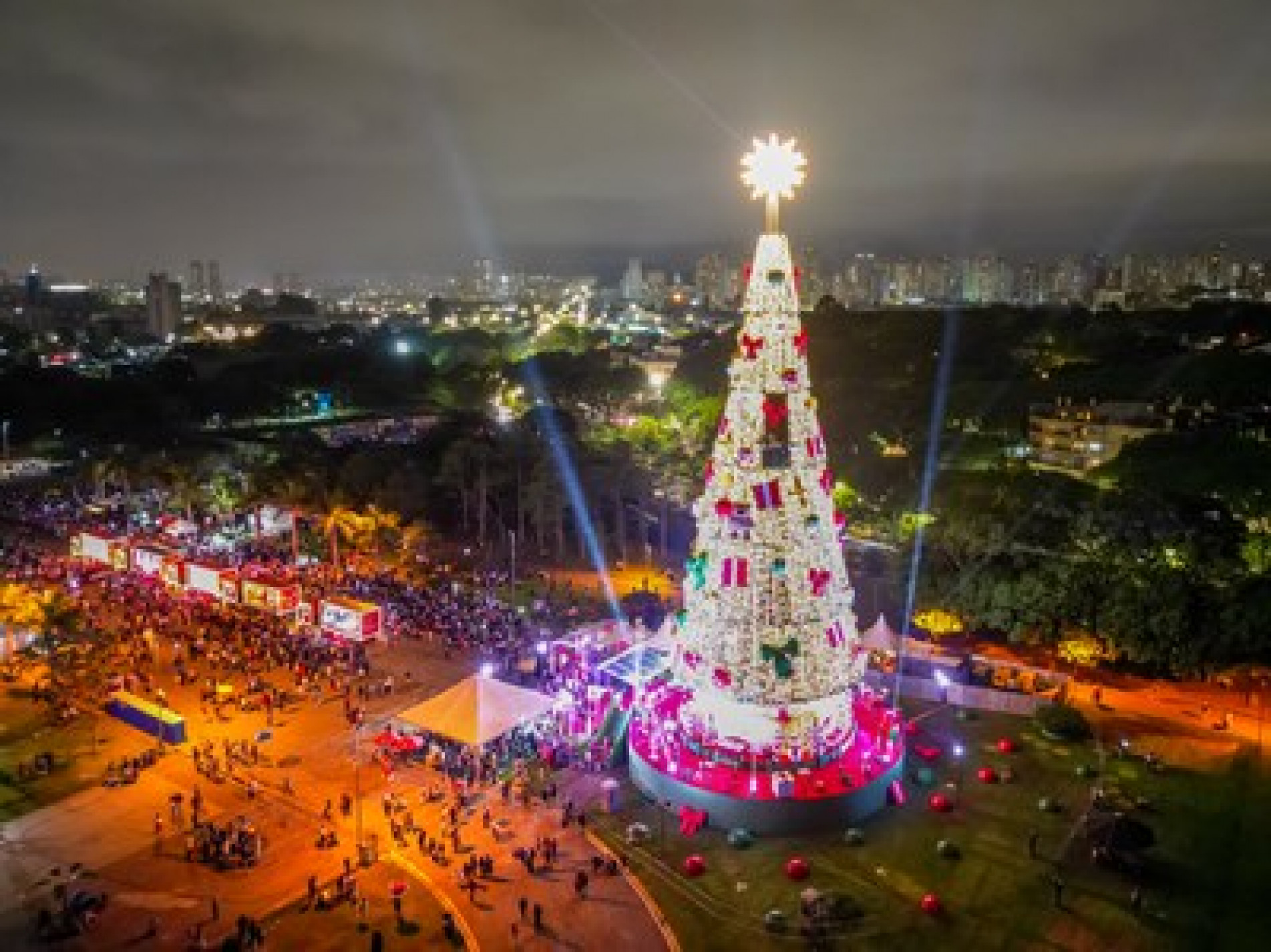 A árvore de Natal tem 52 metros de altura por 22,2 metros de diâmetro