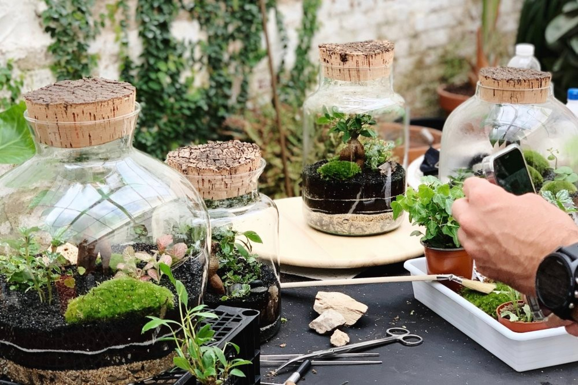 Ações relacionadas ao meio ambiente e à sustentabilidade serão promovidas durante o mês de dezembro 