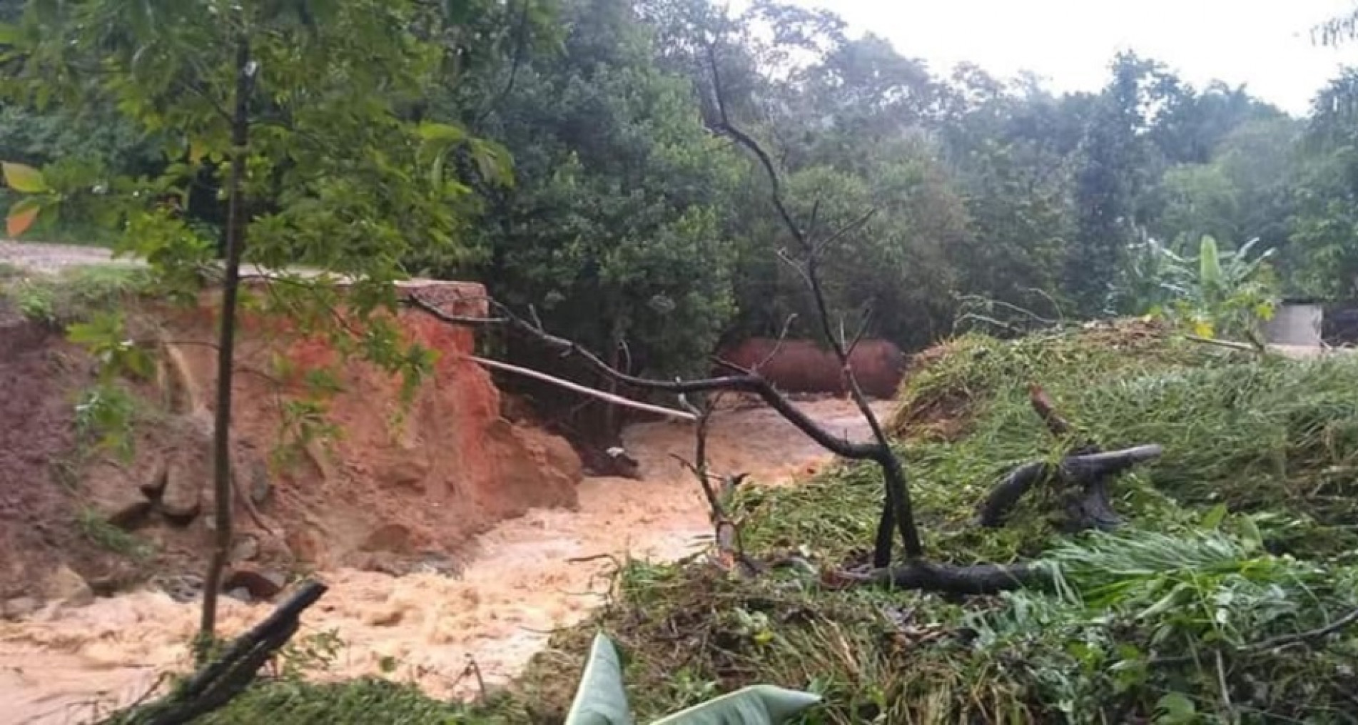 Devido às fortes chuvas, há riscos de deslizamentos em São Paulo, Paraná, Santa Catarina e Rio Grande do Sul