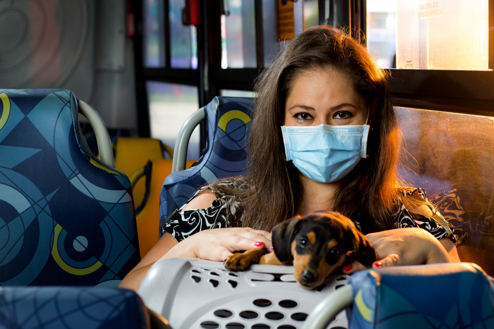 Animal deverá estar acomodado em um suporte adequado para o deslocamento