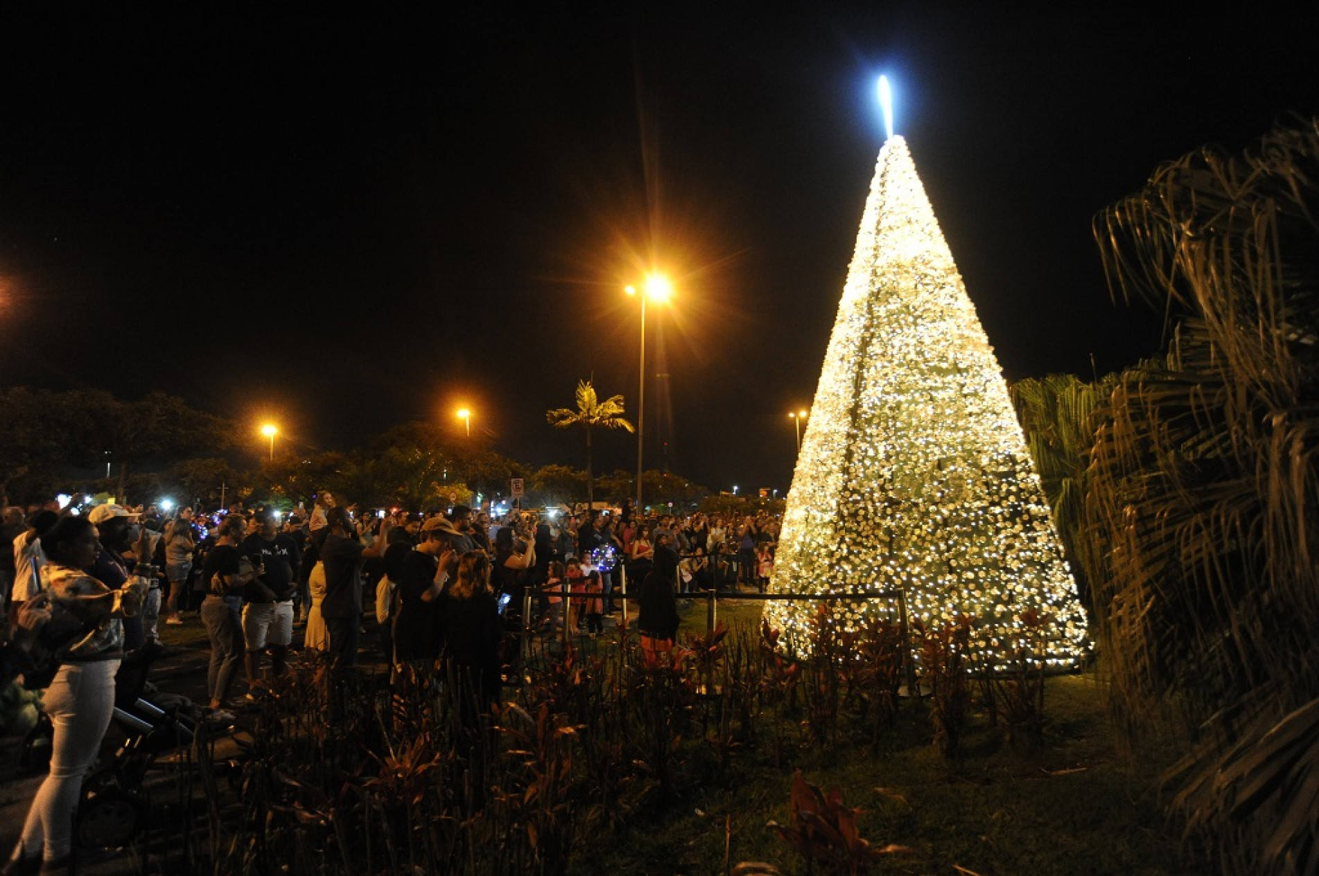 Árvore de Natal com oito metros de altura é um dos atrativos