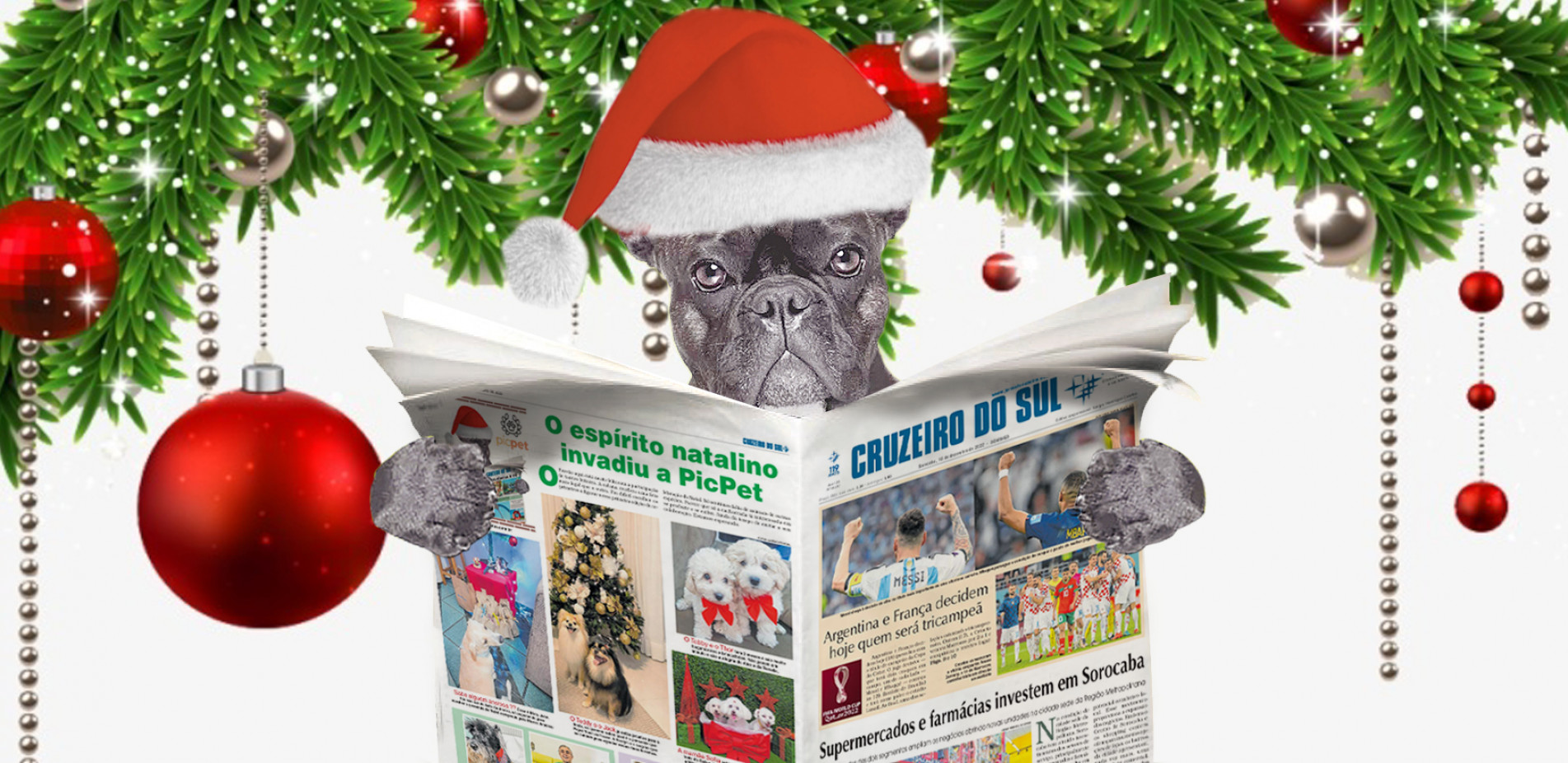 Olá meu nome é Trovão