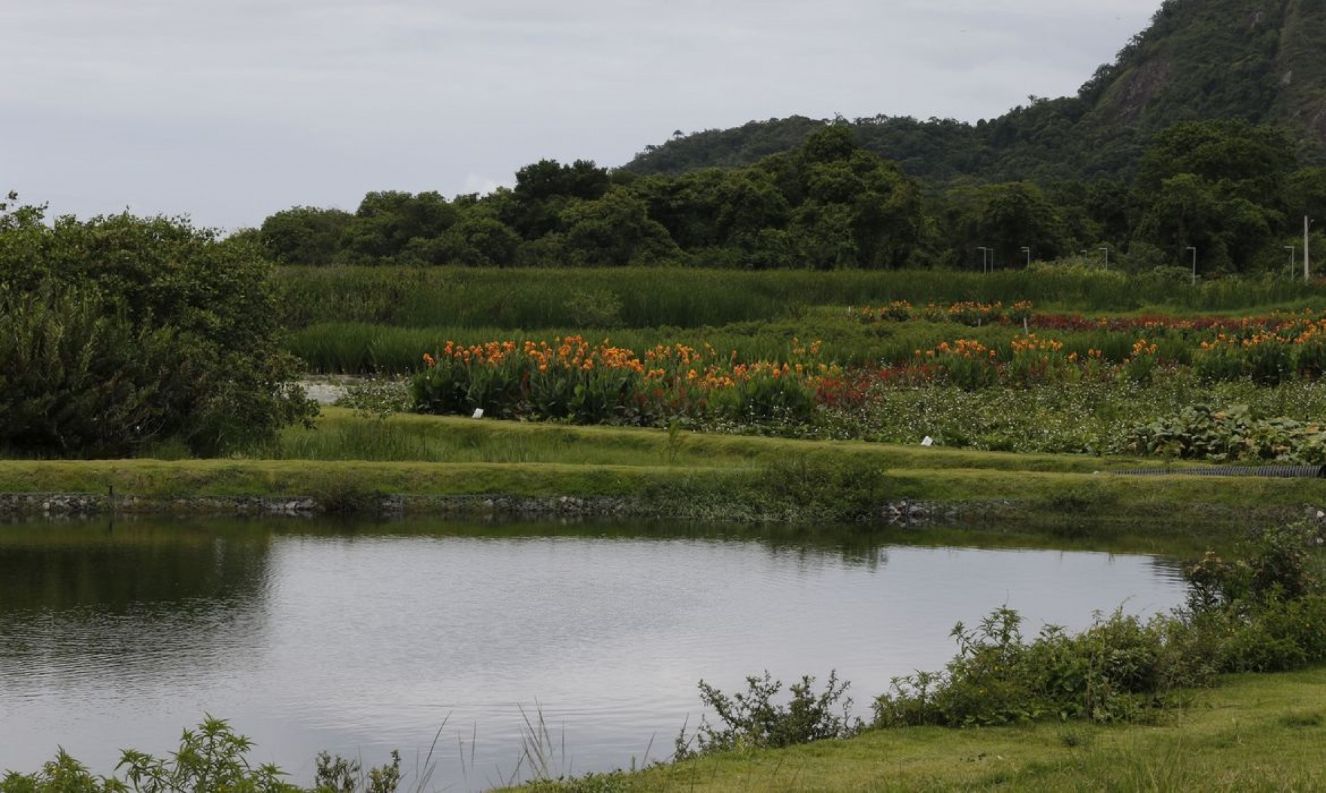 Novo parque em Niterói busca melhorar água e vegetação de lagoa