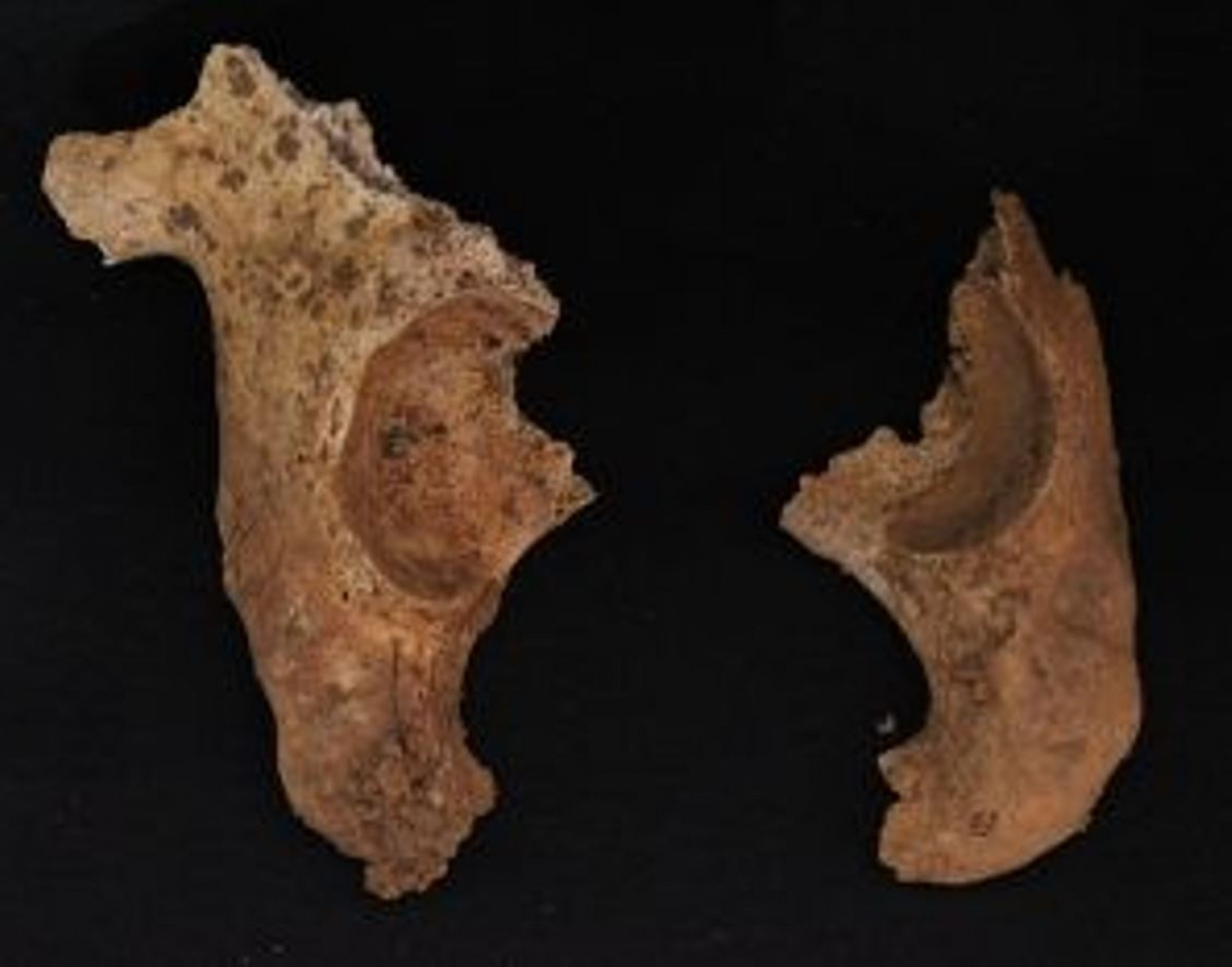 Estudo utiliza análises isotópicas de carbono e nitrogênio de amostras de colágeno extraídas de dentes e ossos de 17 tupis-guaranis provenientes de 10 sítios arqueológicos da região