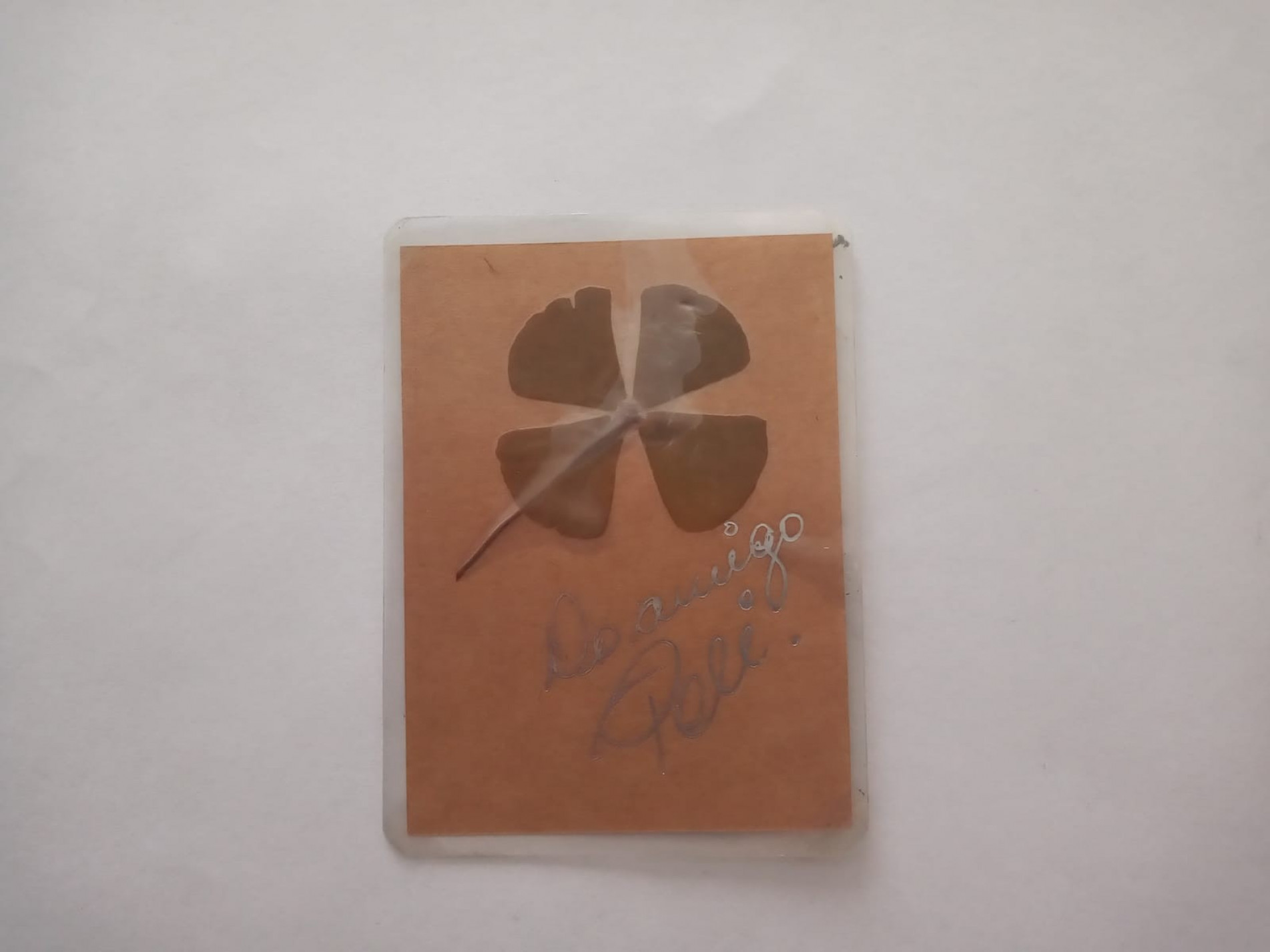 Otaviano Dias Filho guarda amuleto como lembran&ccedil;a
