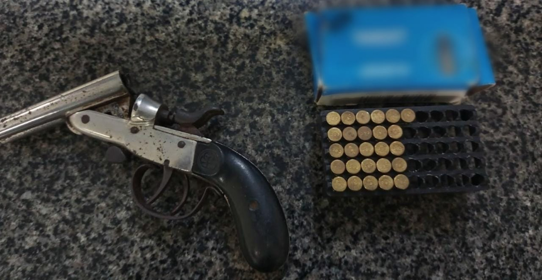 Uma arma e 26 munições foram apreendidas