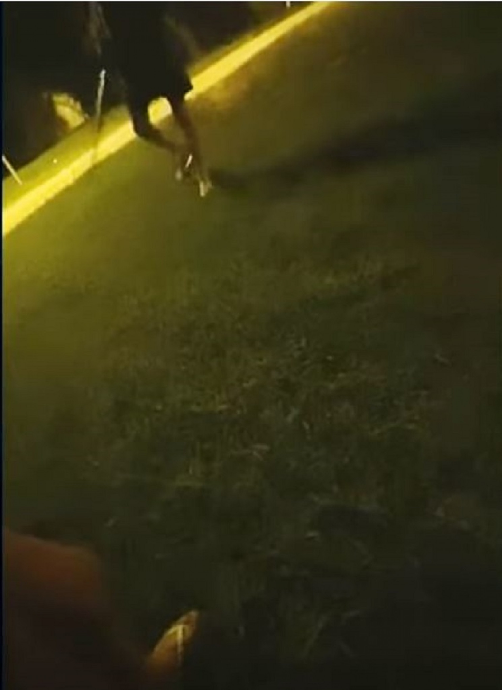 Familiares gravaram o vizinho com a espingarda