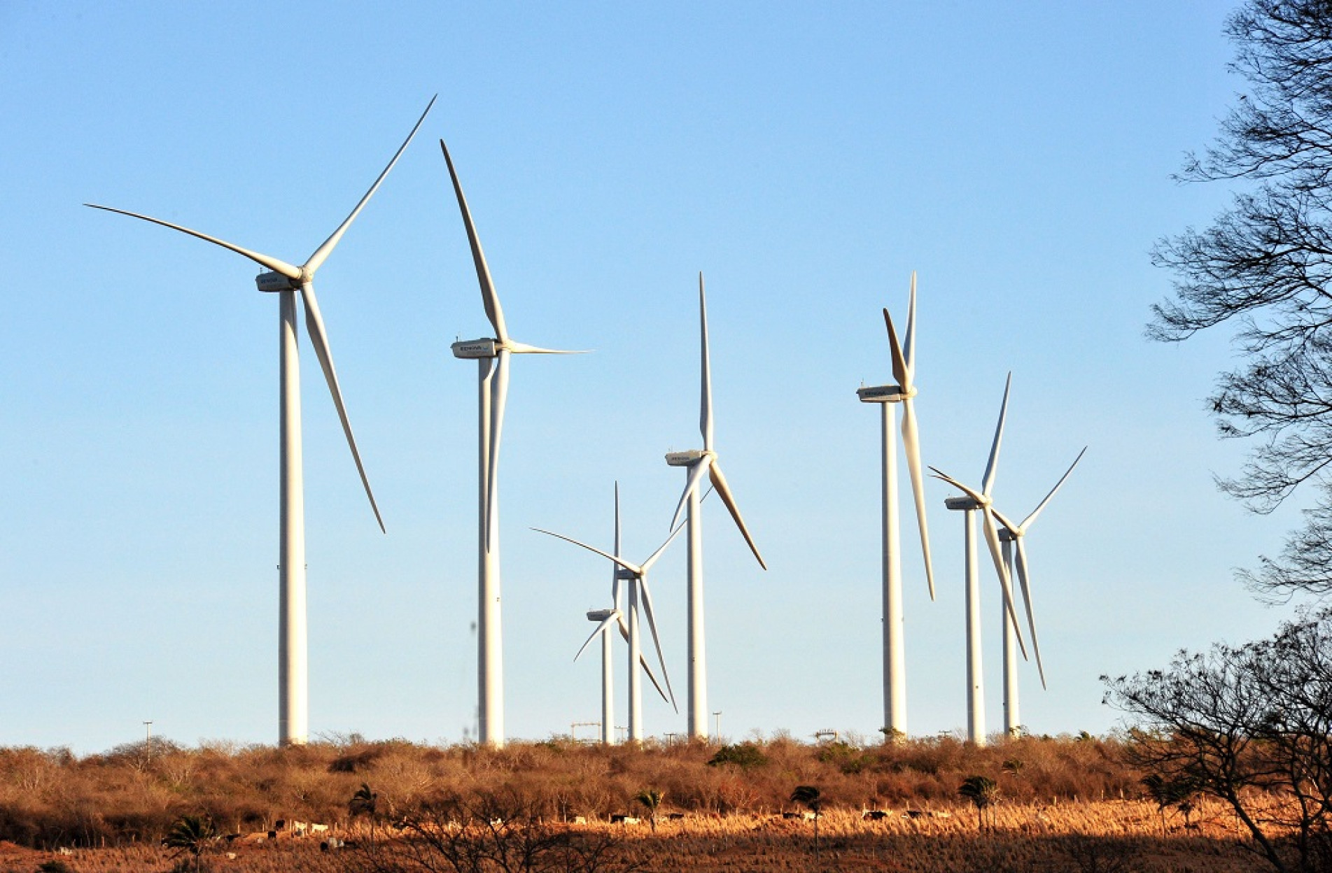 Projetos serão instalados na Bahia e em Minas Gerais