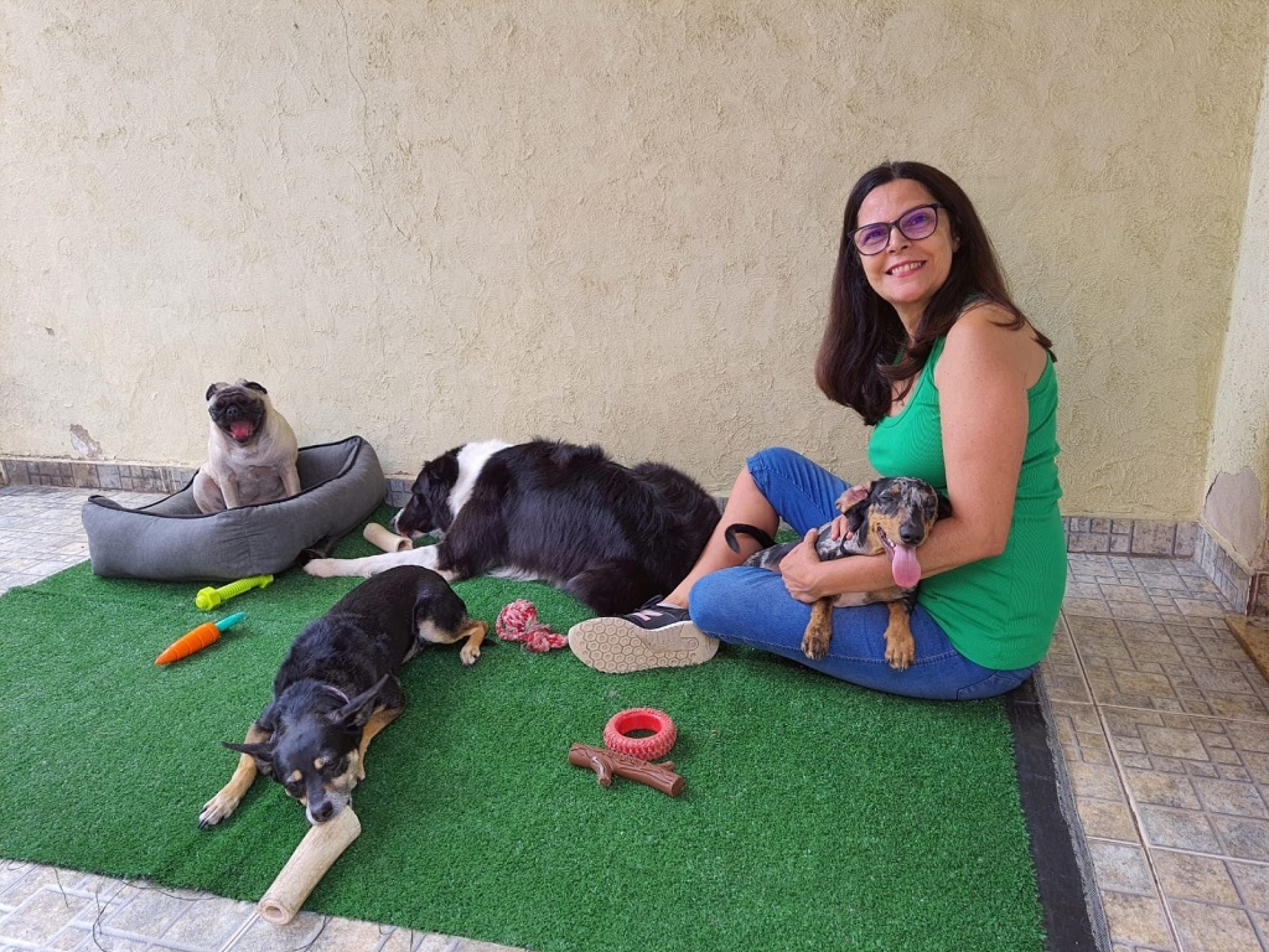 Carinho e muita dedicação são fatores fundamentais na hora de escolher um local para seu pet
