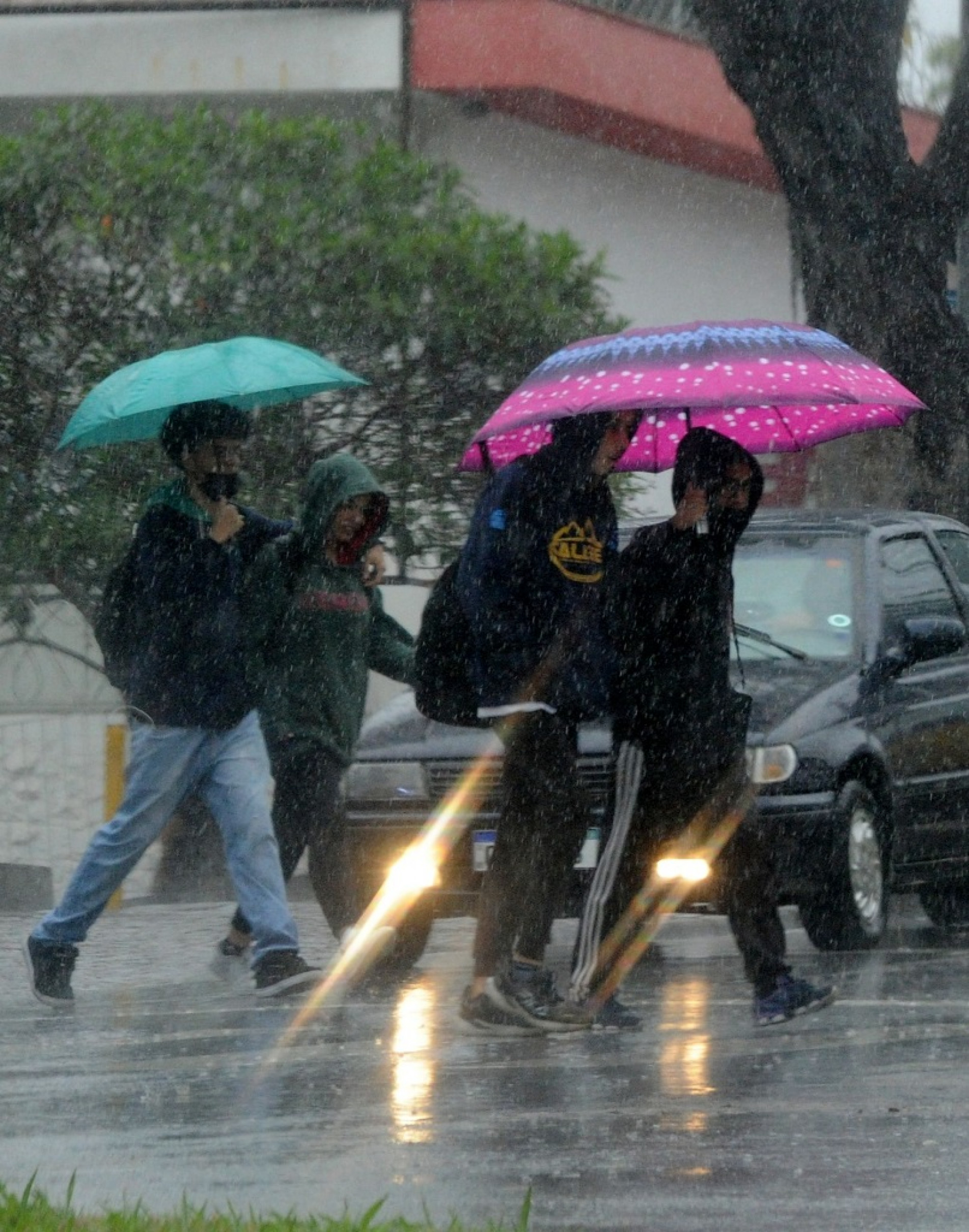 Previsão é de 60 mm de precipitação entre a última quarta-feira e esta sexta (13)