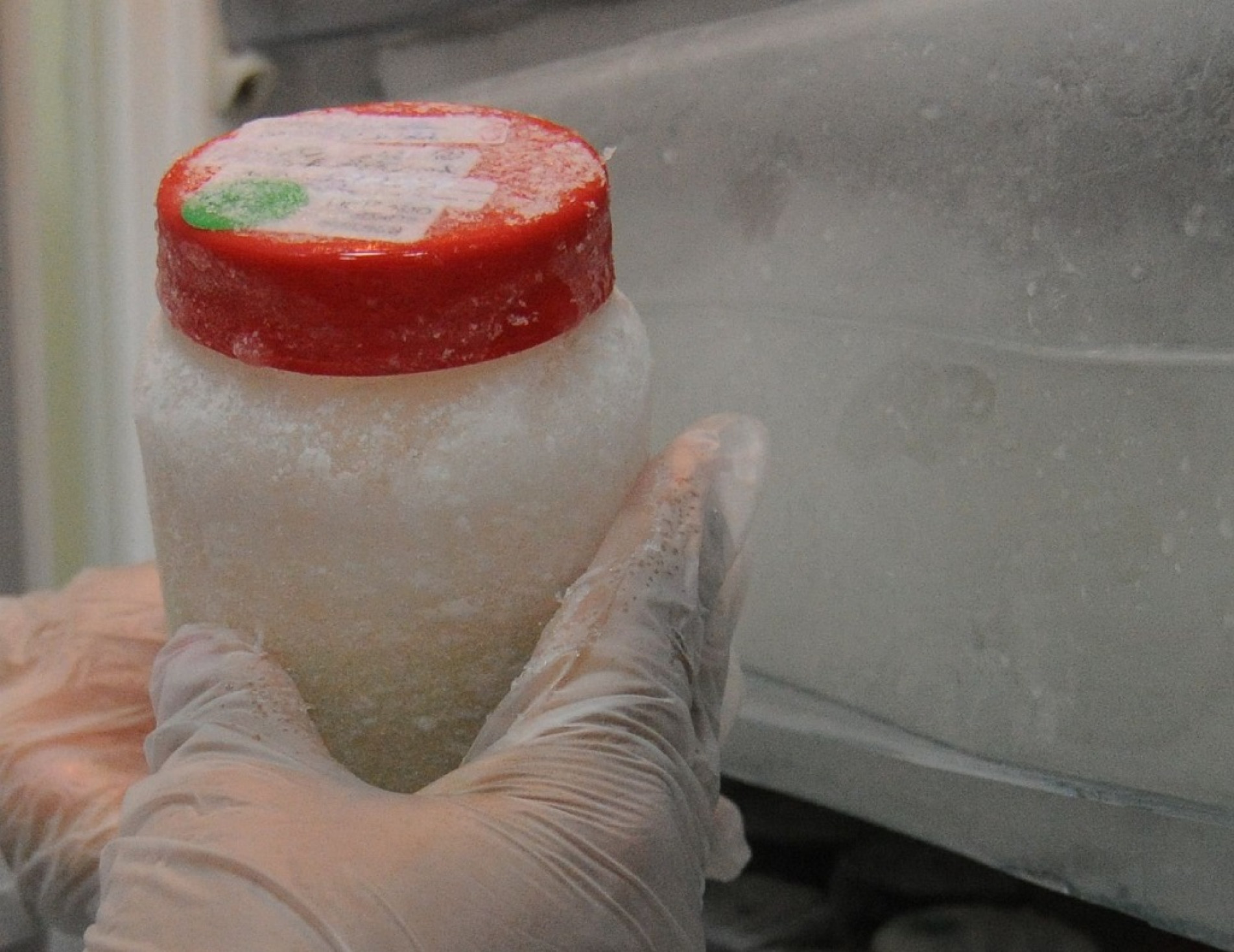 Estoque do CHS está abastecido, mas a contribuição é sempre importante
