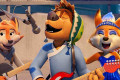 O c&atilde;ozinho Bodi ama a energia do rock e a m&uacute;sica  - DIVULGA&Ccedil;&Atilde;O