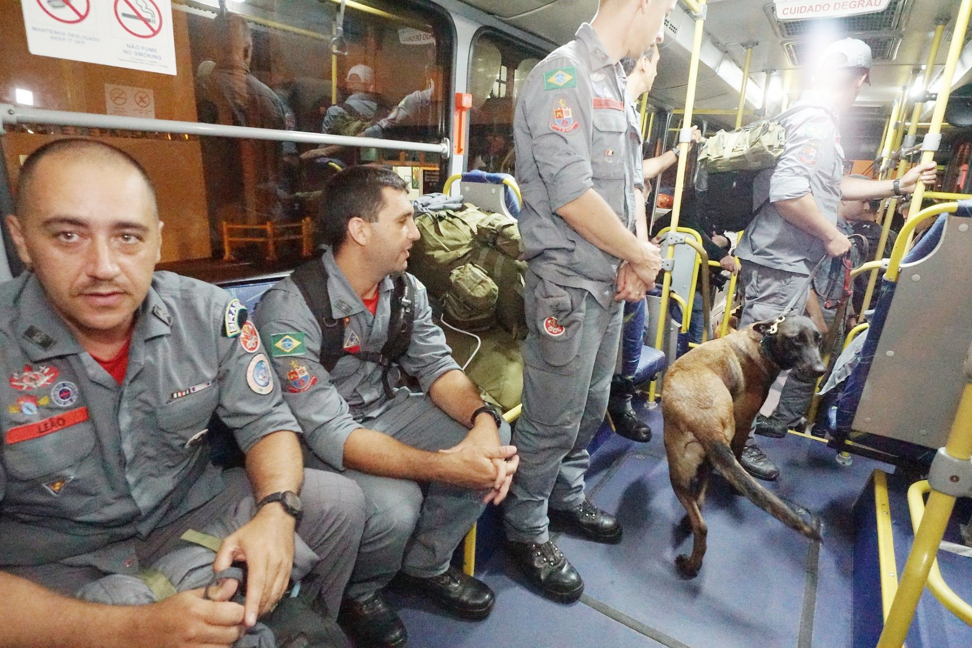Bombeiros de São Paulo embarcaram com cães farejadores