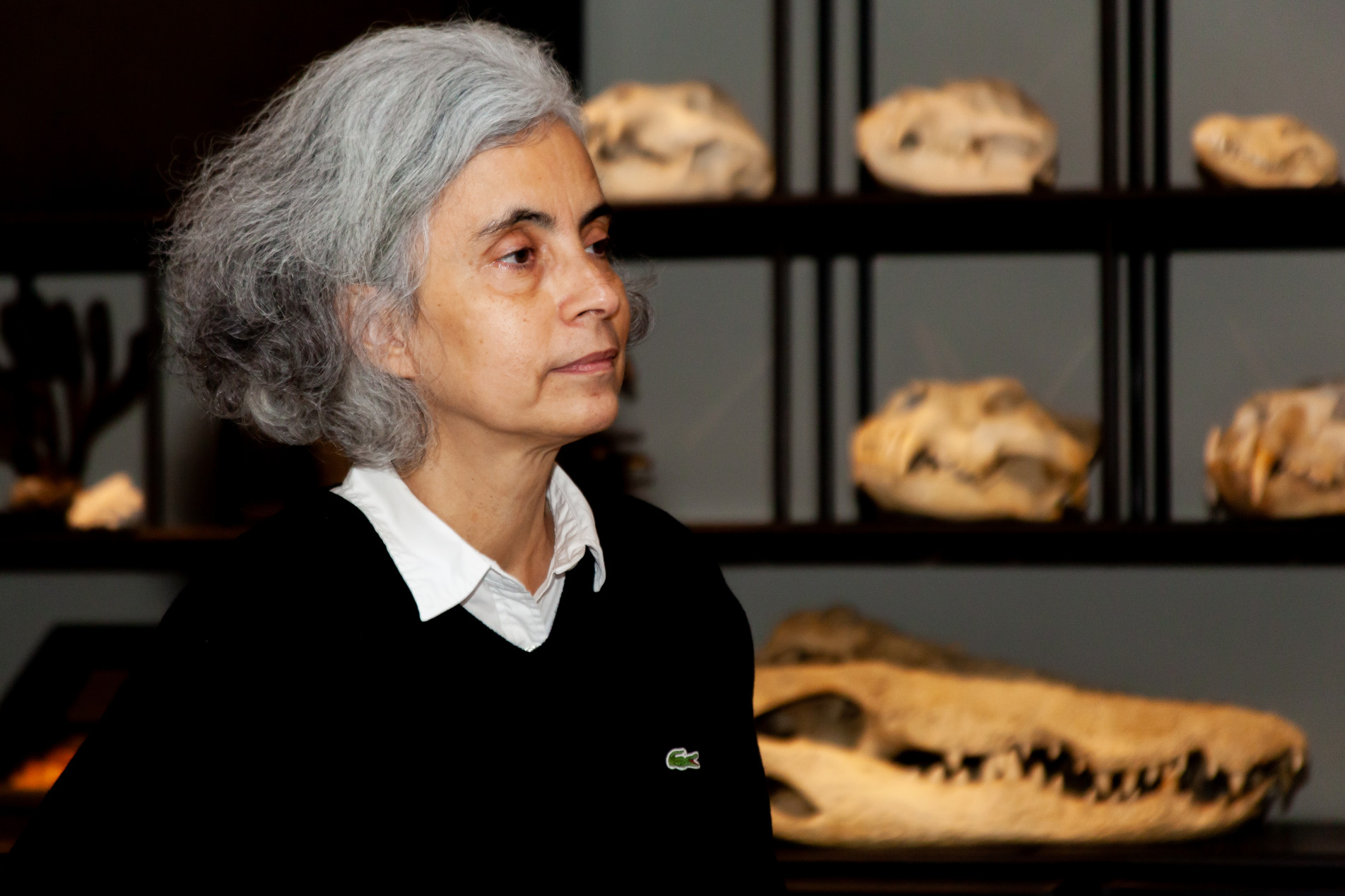 A professora doutora Maria Isabel Landim, curadora da coleção museográfica do Museu de Zoologia da Universidade de São Paulo: 