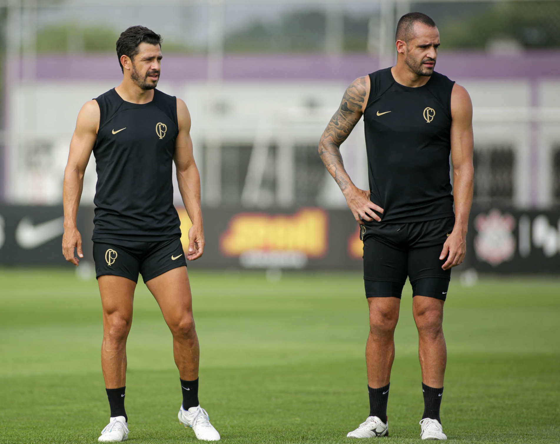 Giuliano e Renato Augusto são opções no Corinthians