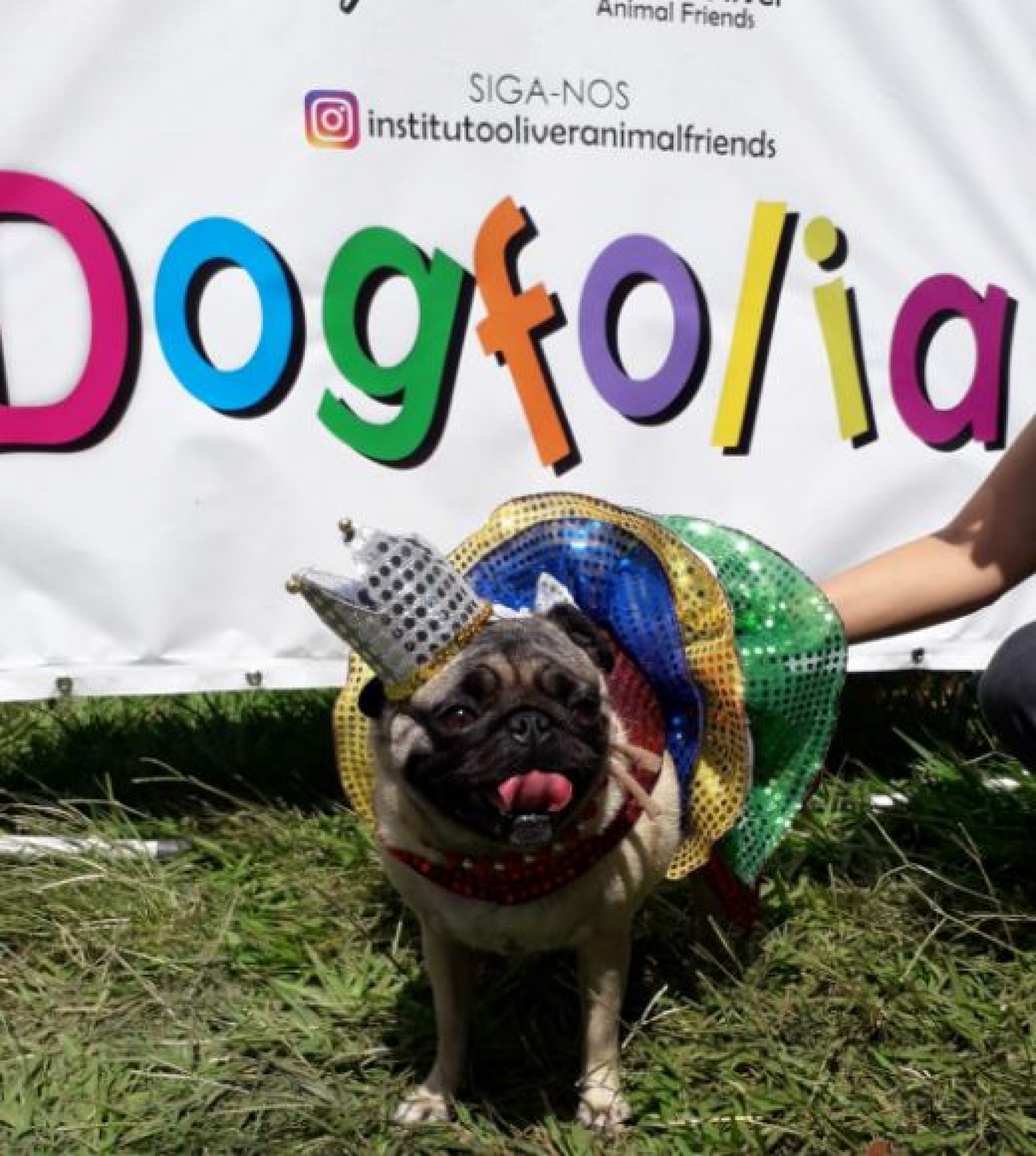 A primeira edição do DogFolia foi realizada em fevereiro de 2022