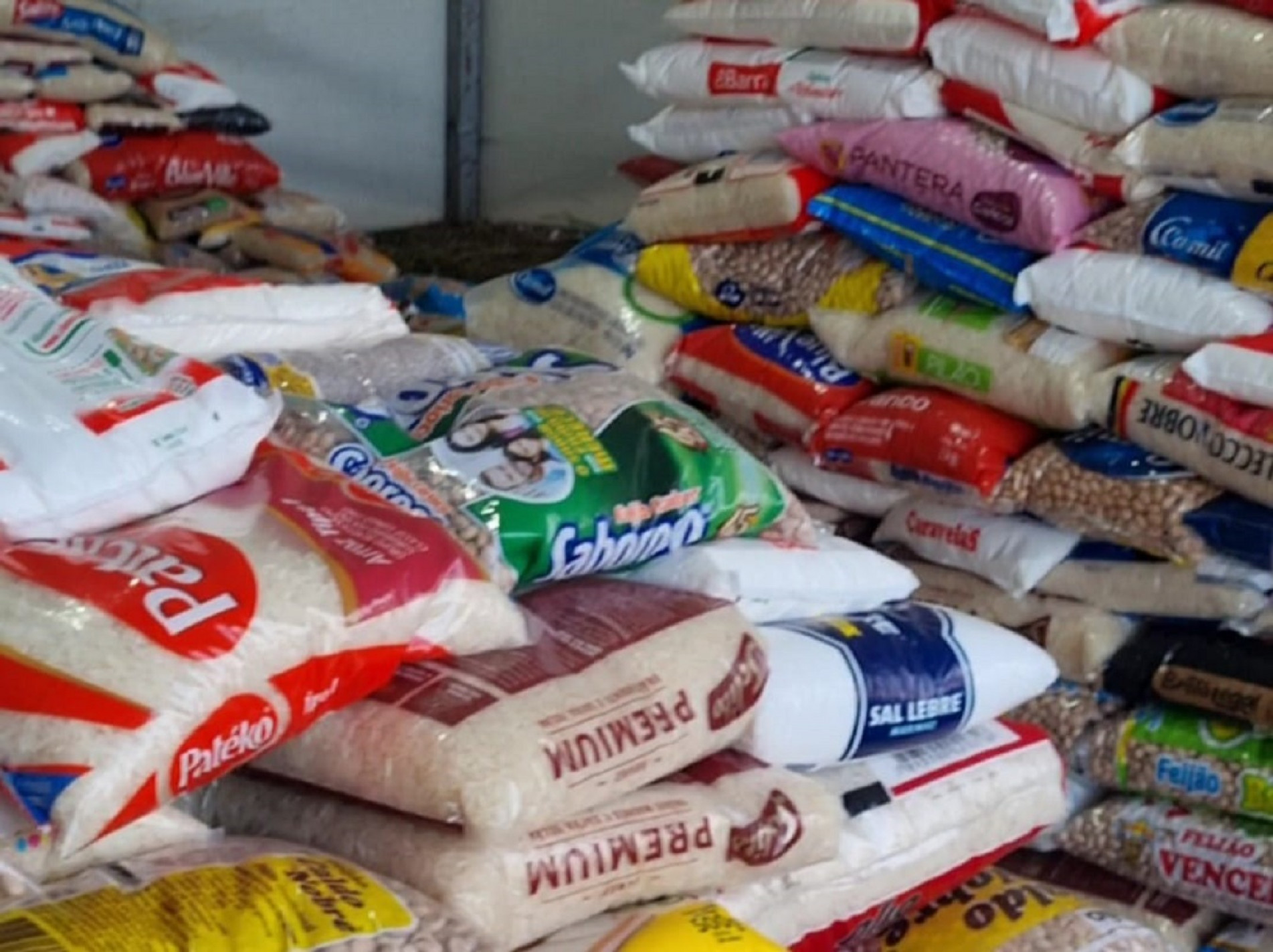 Campanha municipal começa a arrecadar também ração para cães e gatos resgatados nessa região