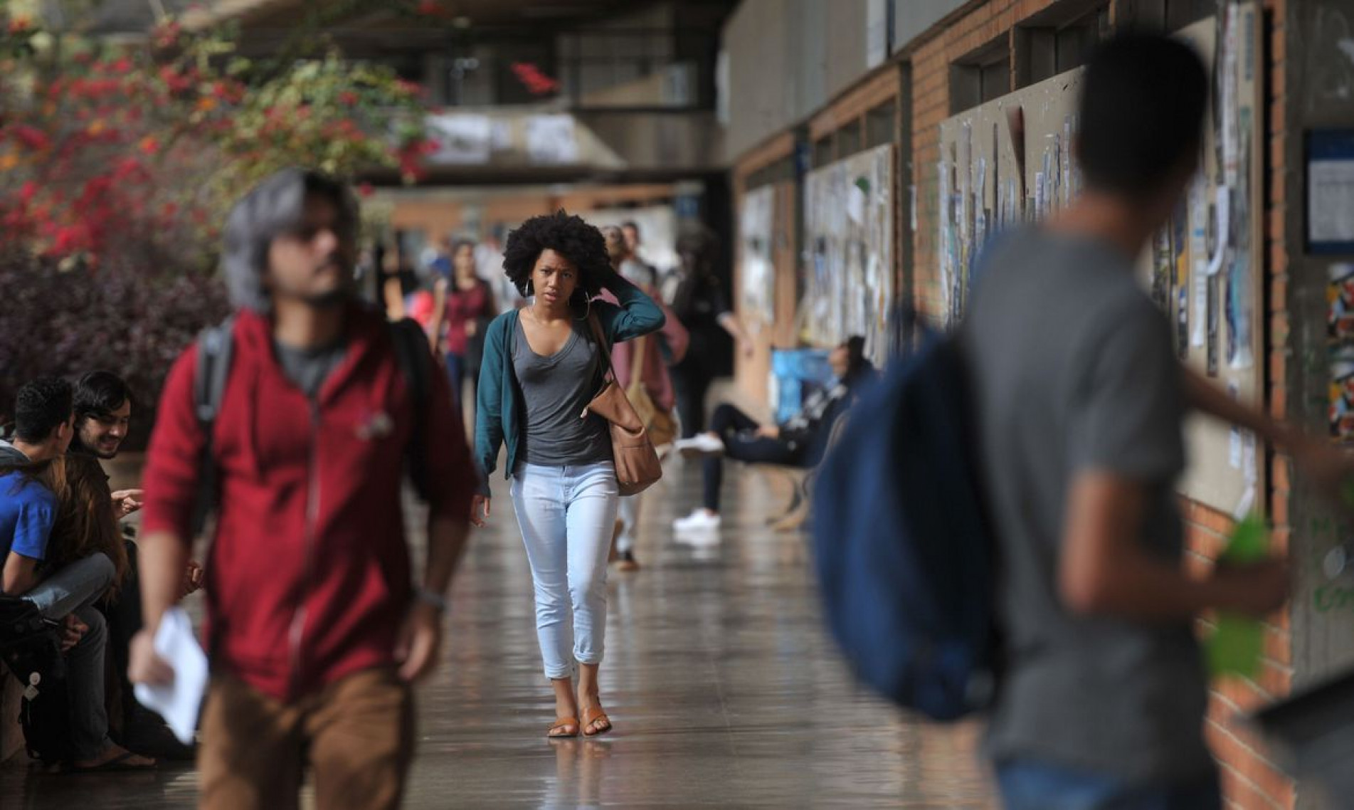 UnB foi a primeira universidade federal a adotar sistema de cotas raciais
UnB reserva vagas para negros desde o vestibular de 2004
Percentual de negros com diploma cresceu quase quatro vezes desde 2000, segundo IBGE