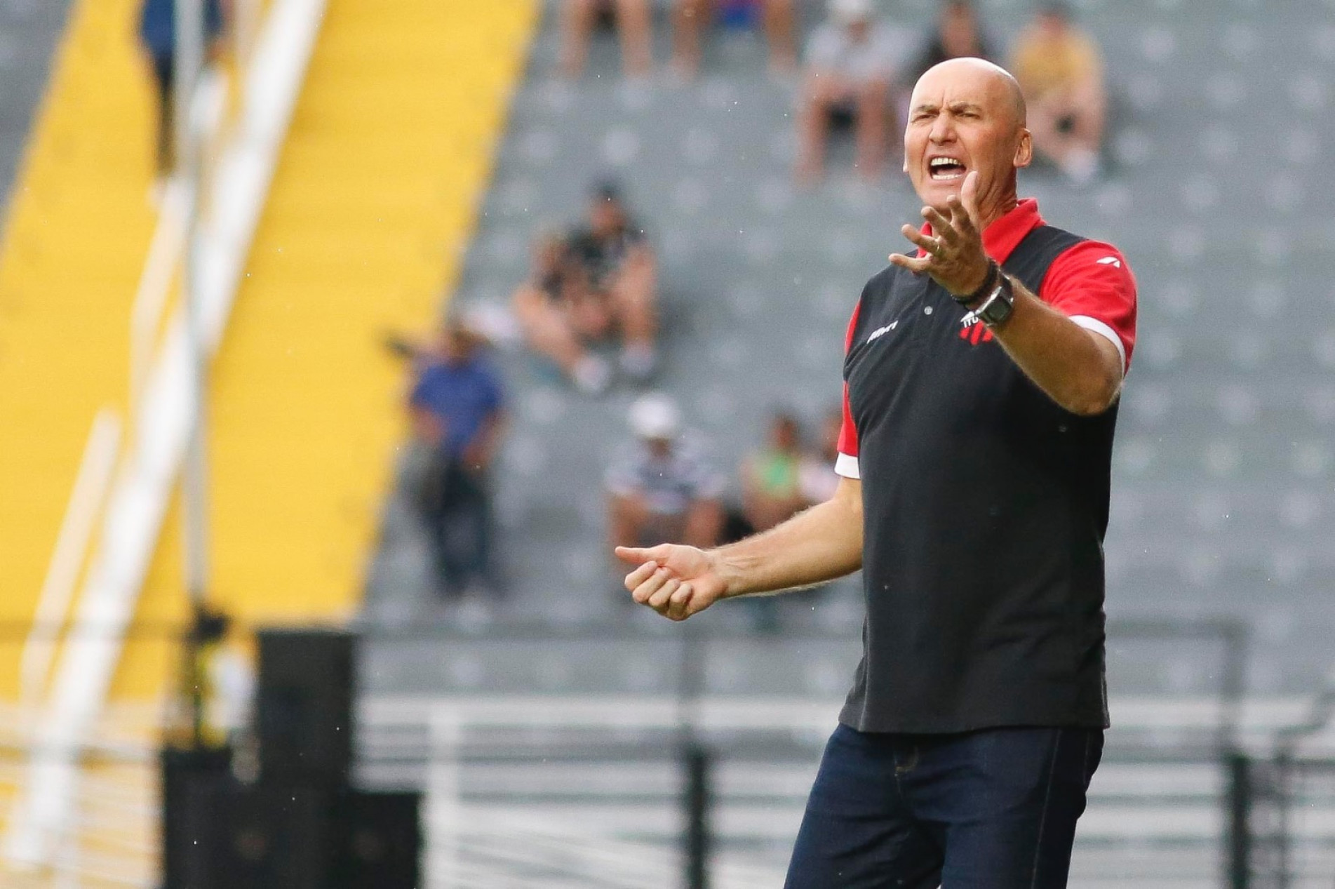 Gilmar Dal Pozzo, técnico do Galo