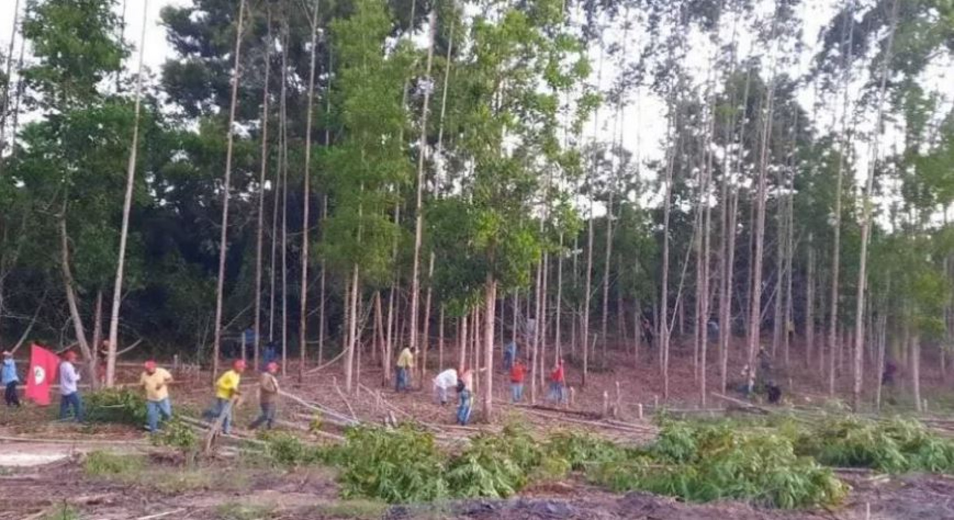 Integrantes do MST durante ocupação