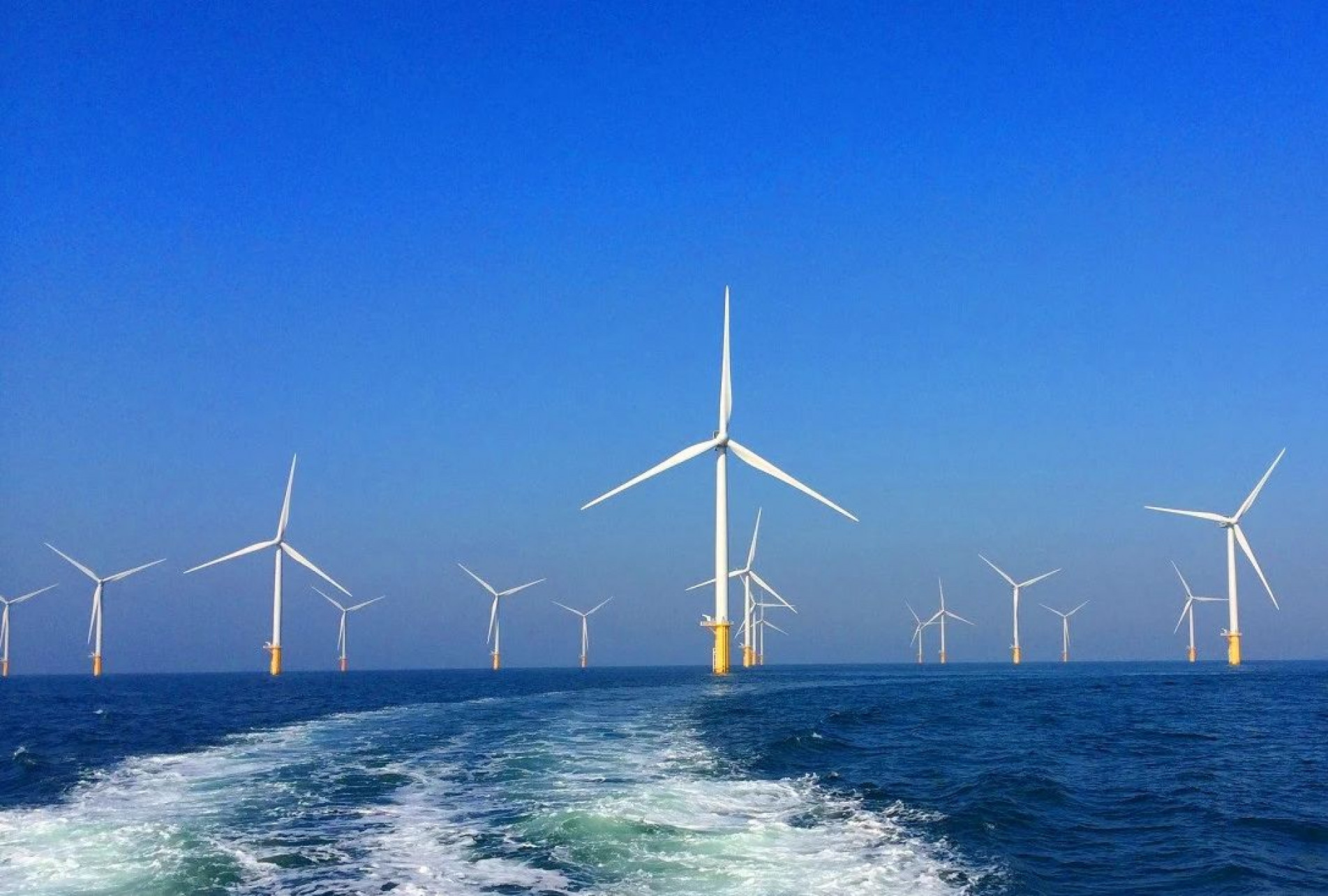 País autorizou importação após 12 anos de negociações