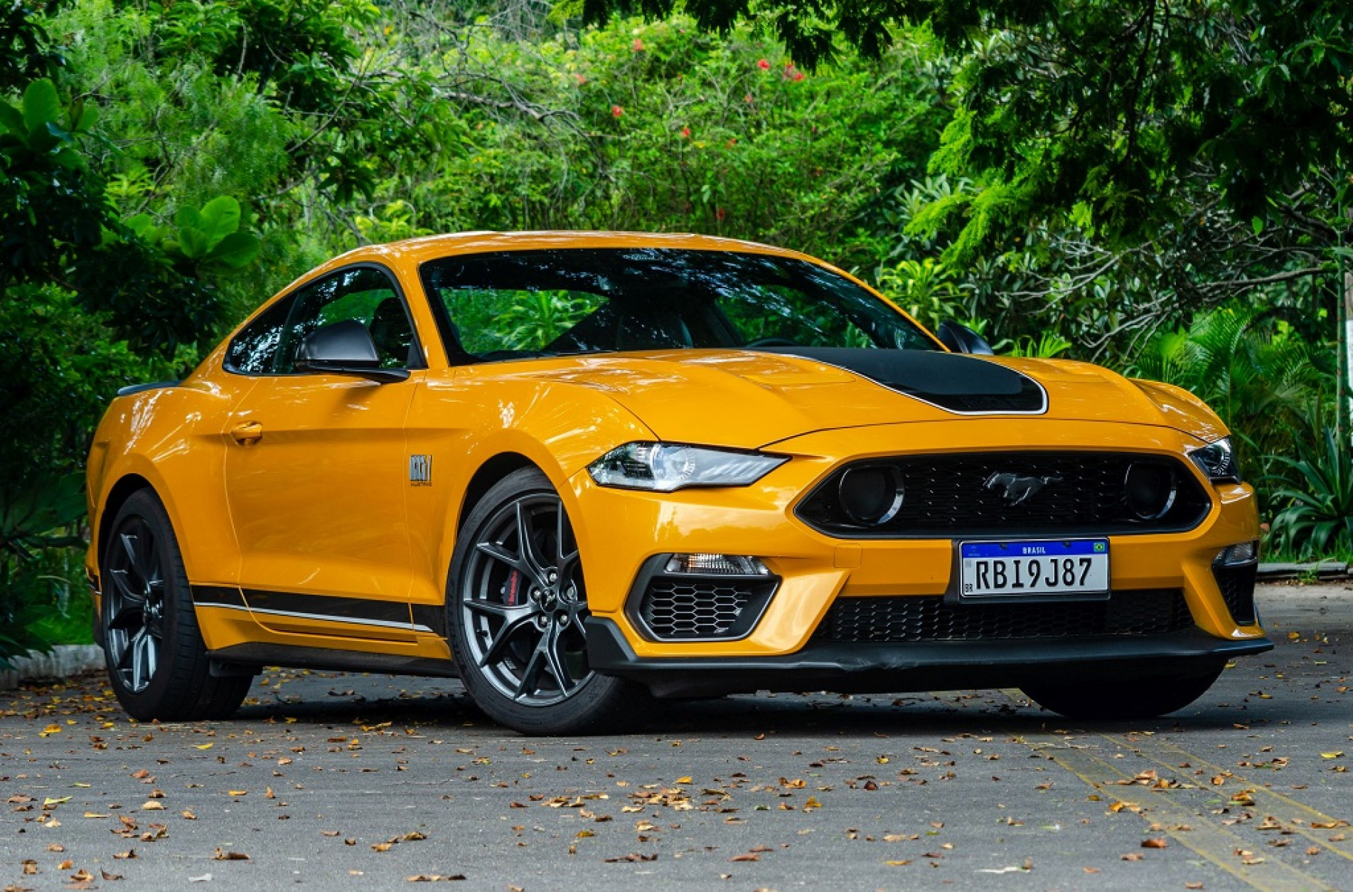 O motorzão Coyote V8 5.0 aspirado a gasolina ganhou 17 hp em relação à versão Black Shadow, atingindo 483 cavalos de potência